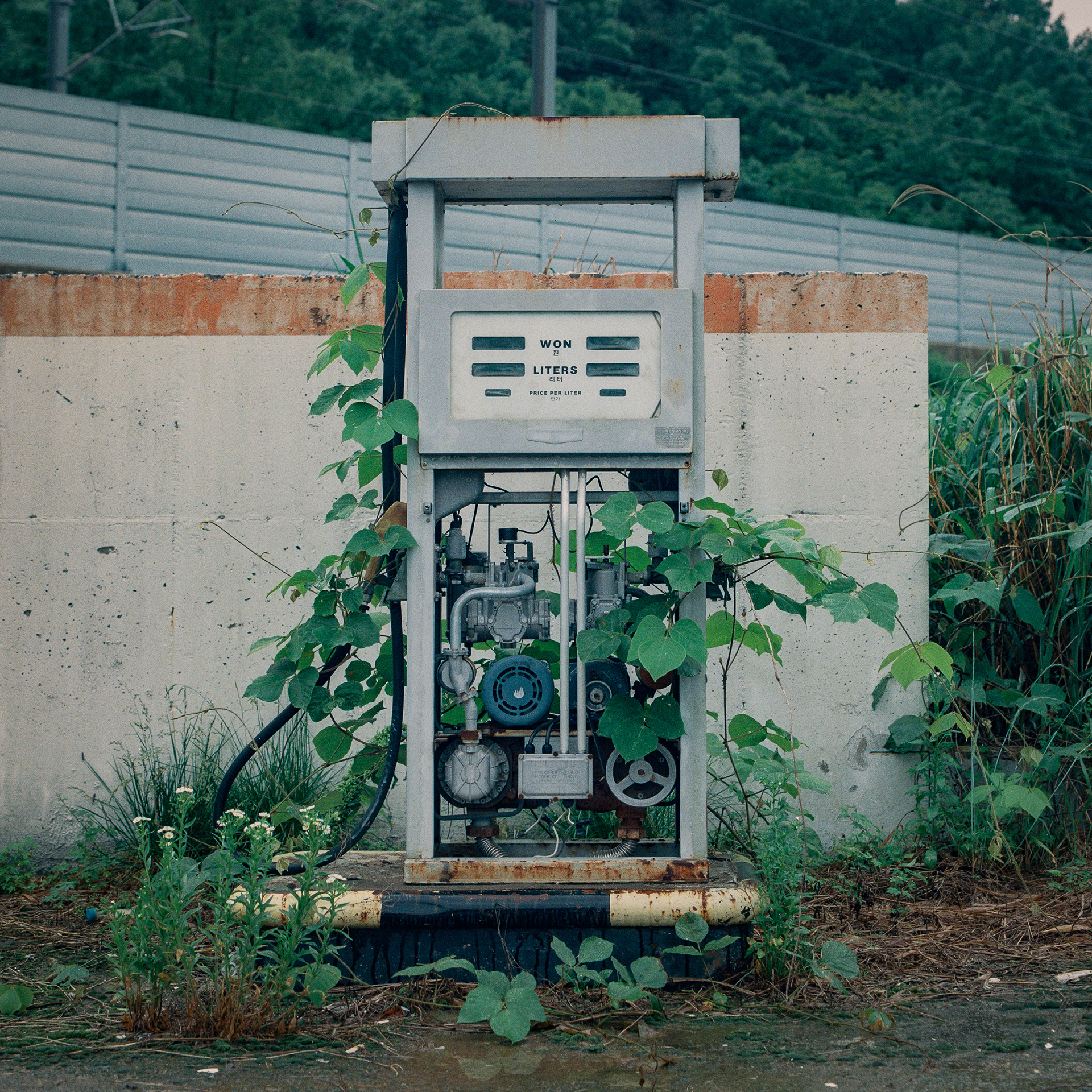 이제는 오래된, May,2023