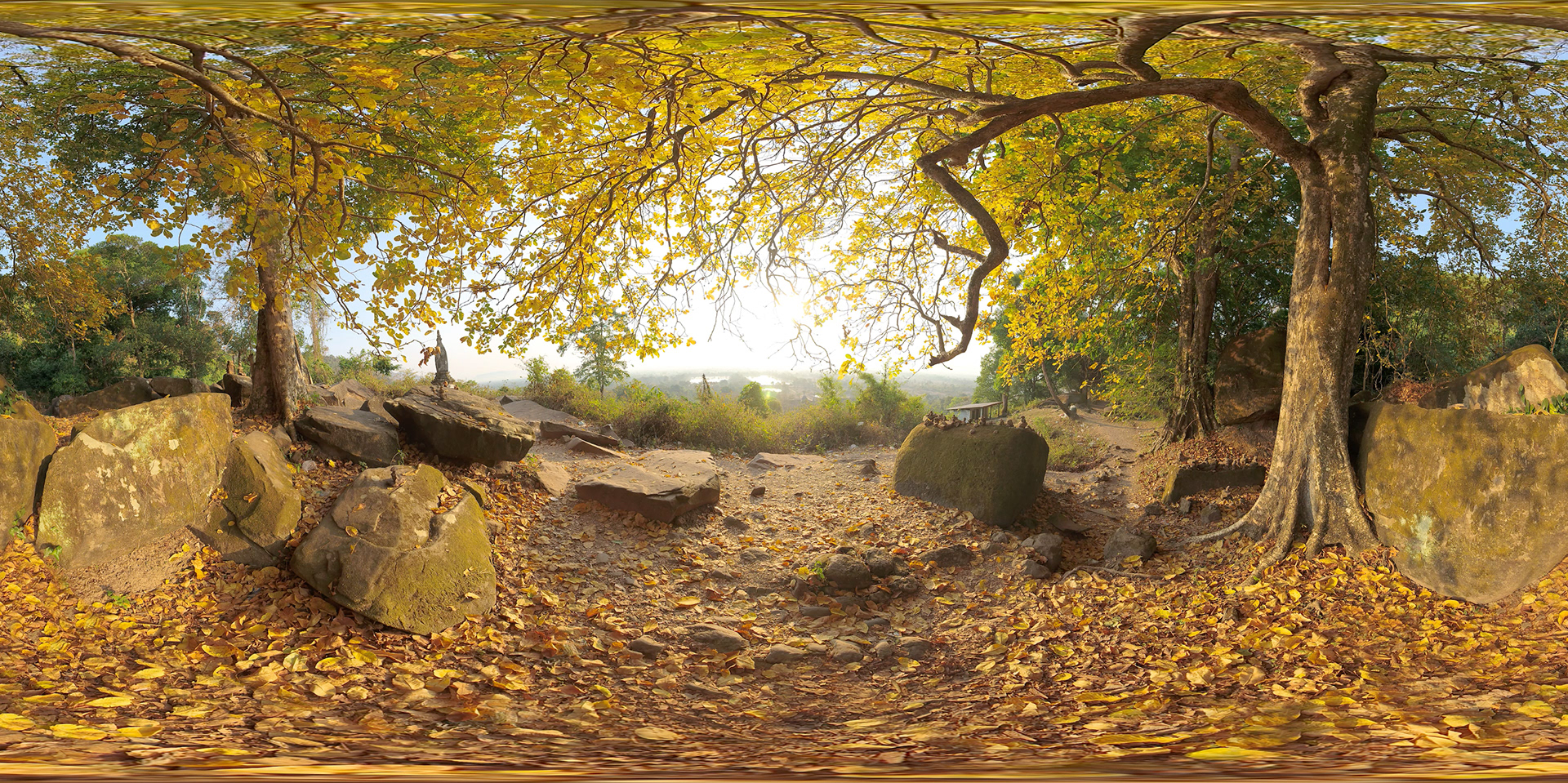 Wat Phou, Laos, 2023, Feb, VR cam