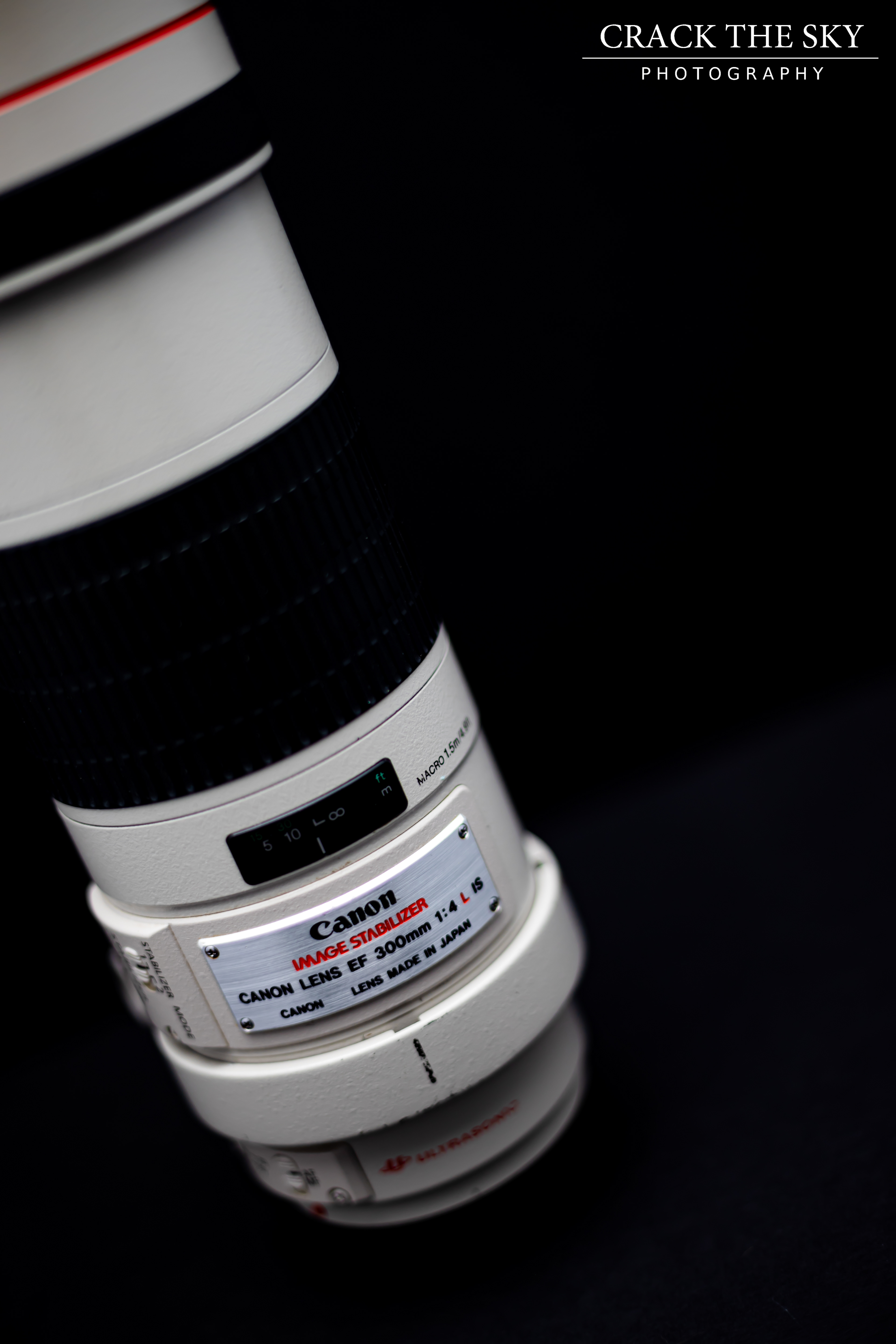 Canon EF 300mm f4.0 prime L lens