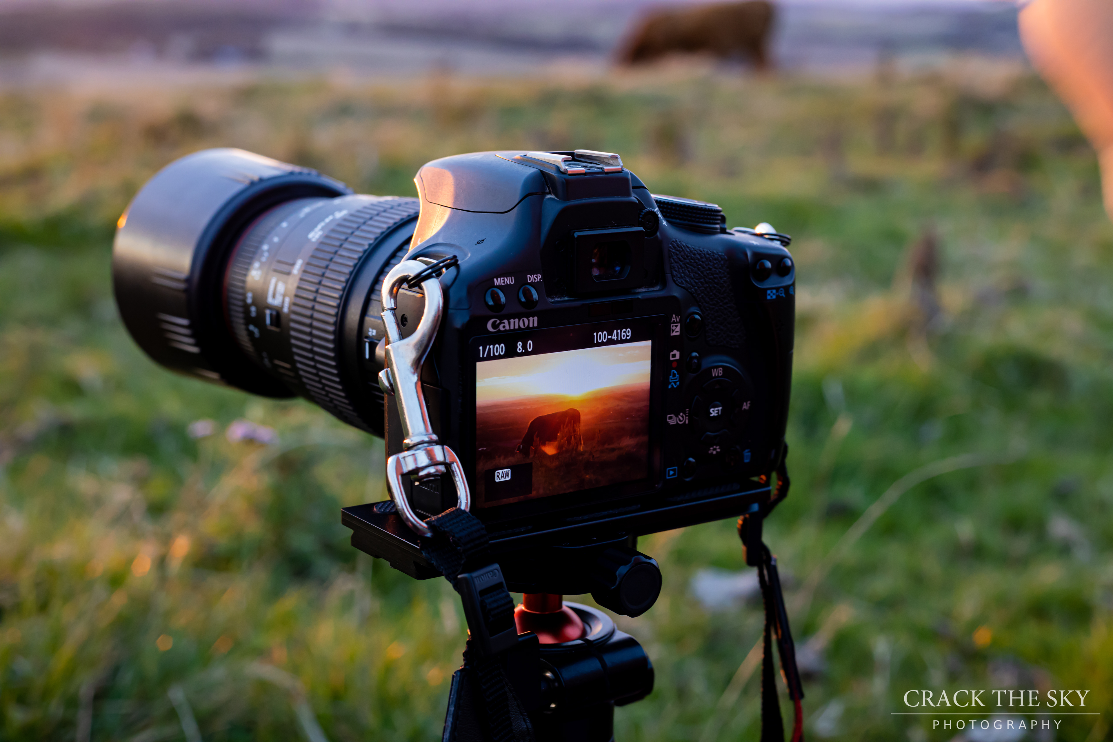 Canon at Sunset