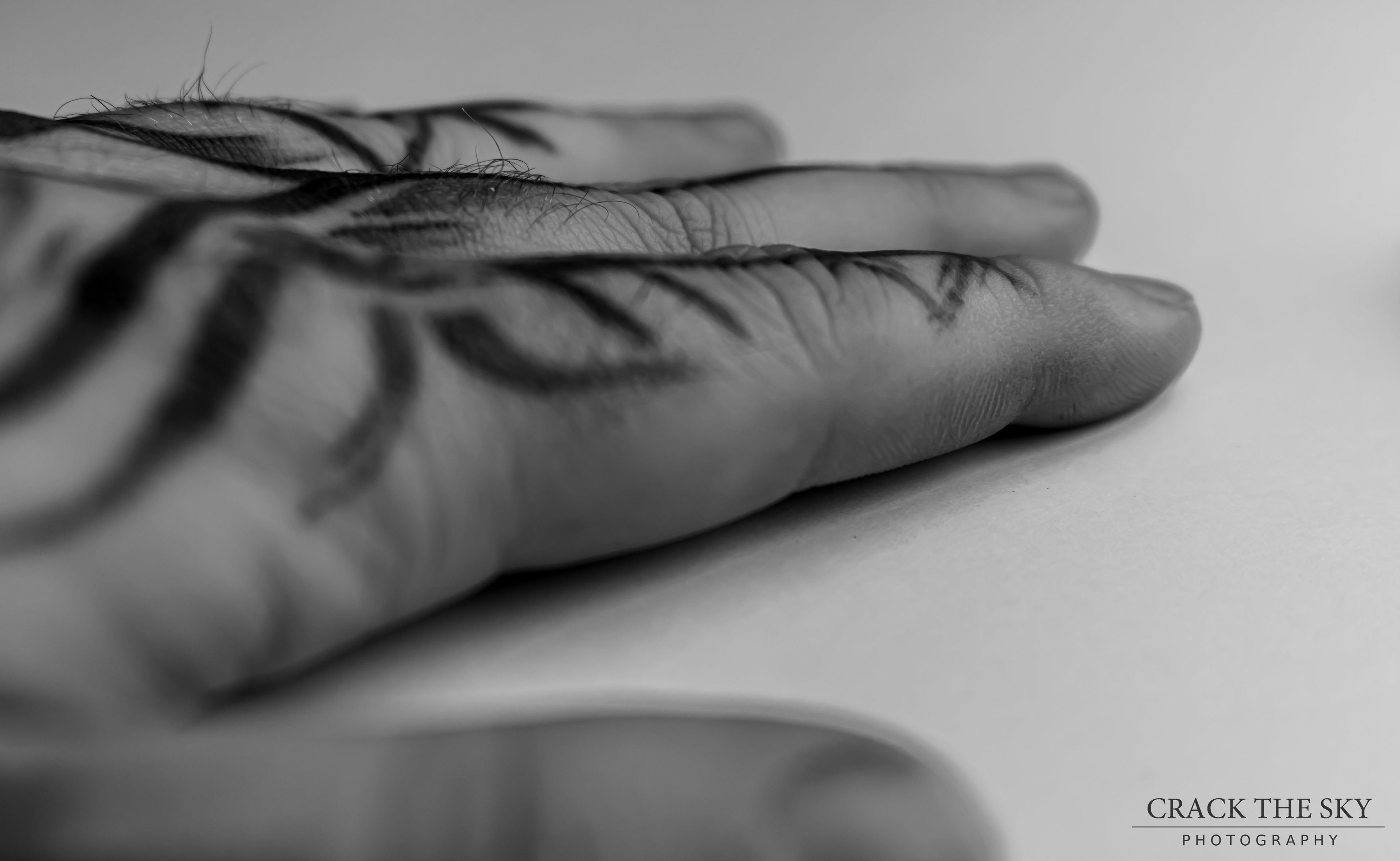 Tattooed fingers
