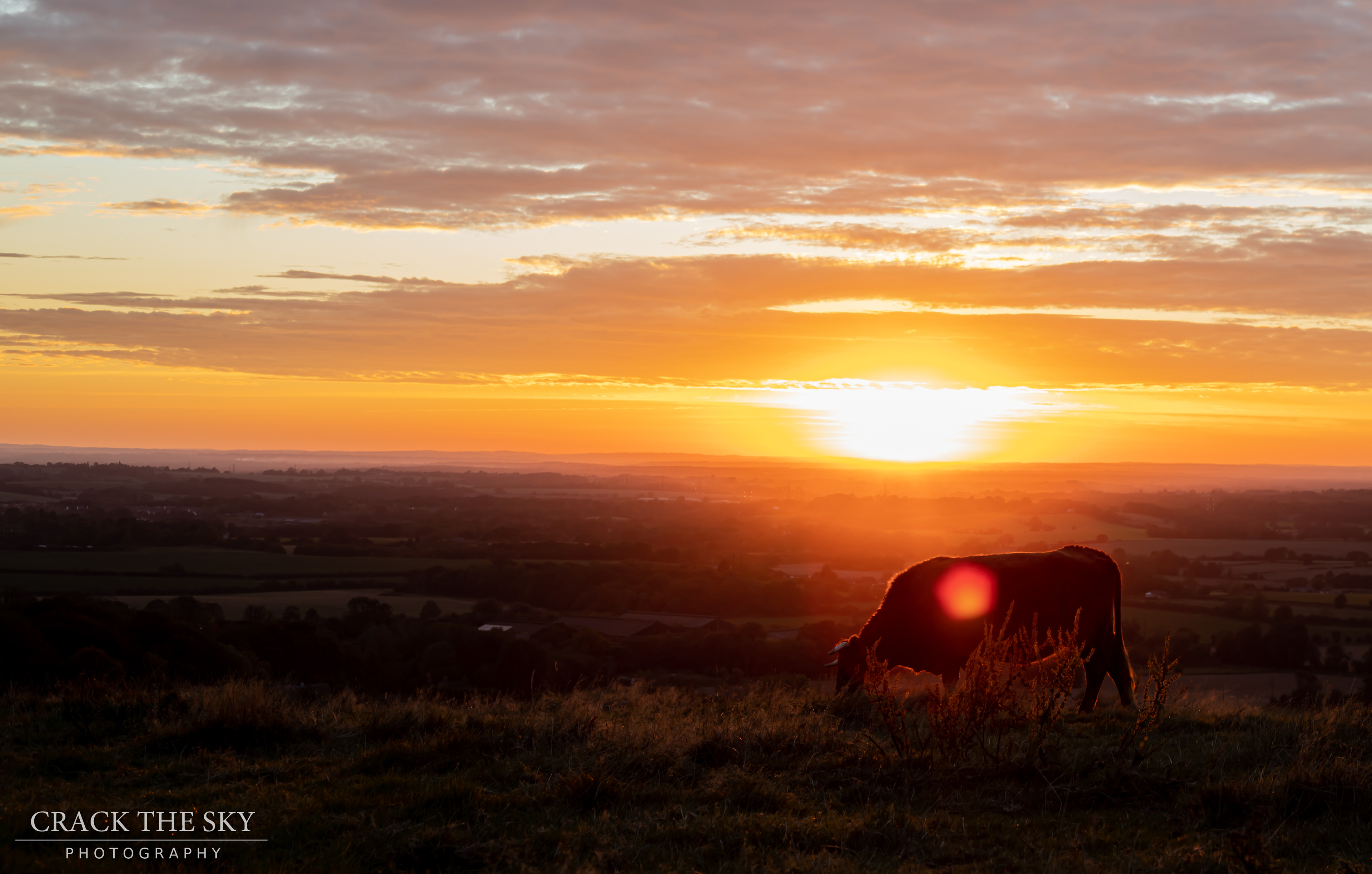 Silhouette Sunset, Farthing Common