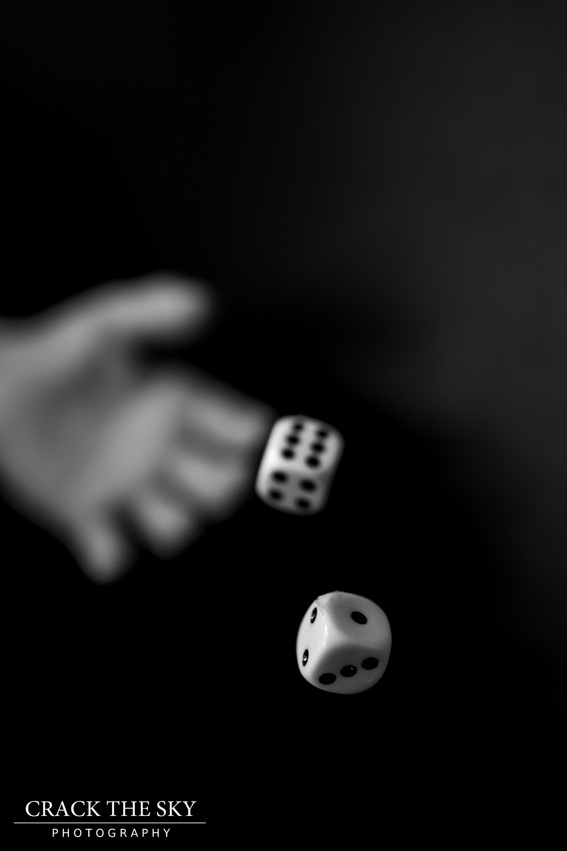 Roll the Dice