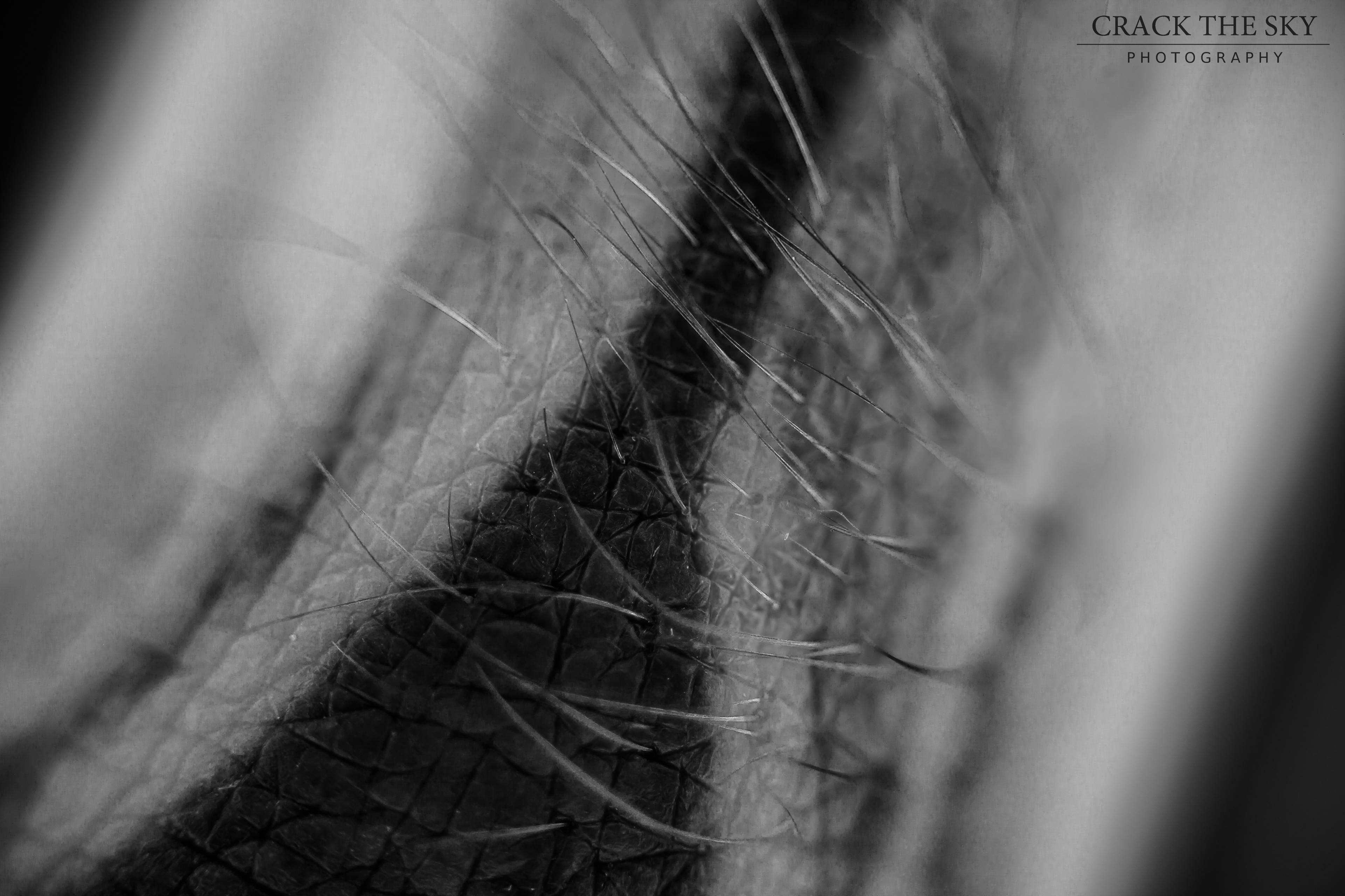 Macro tattooed finger