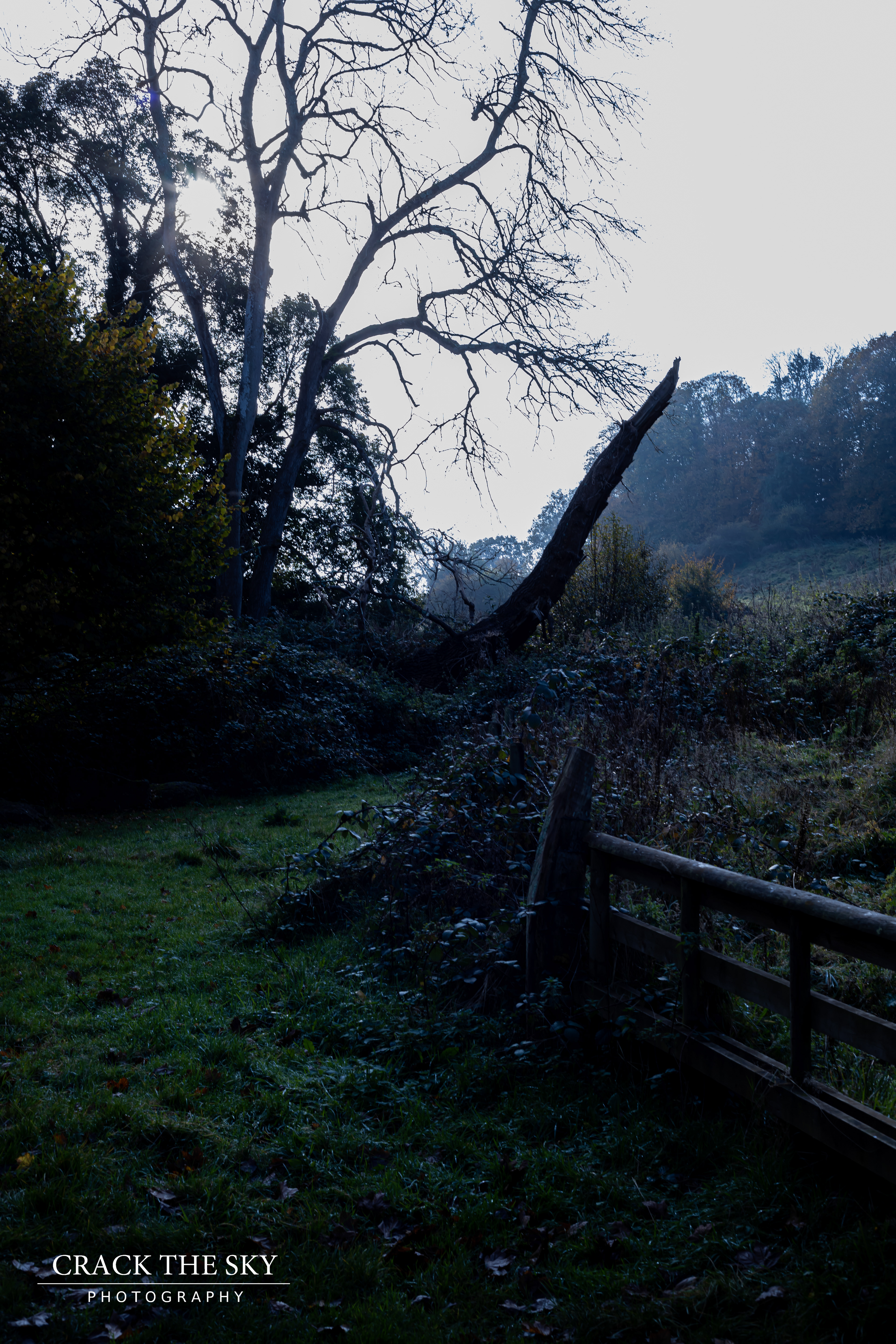 Moody Sunrise, Brockhill Park, England