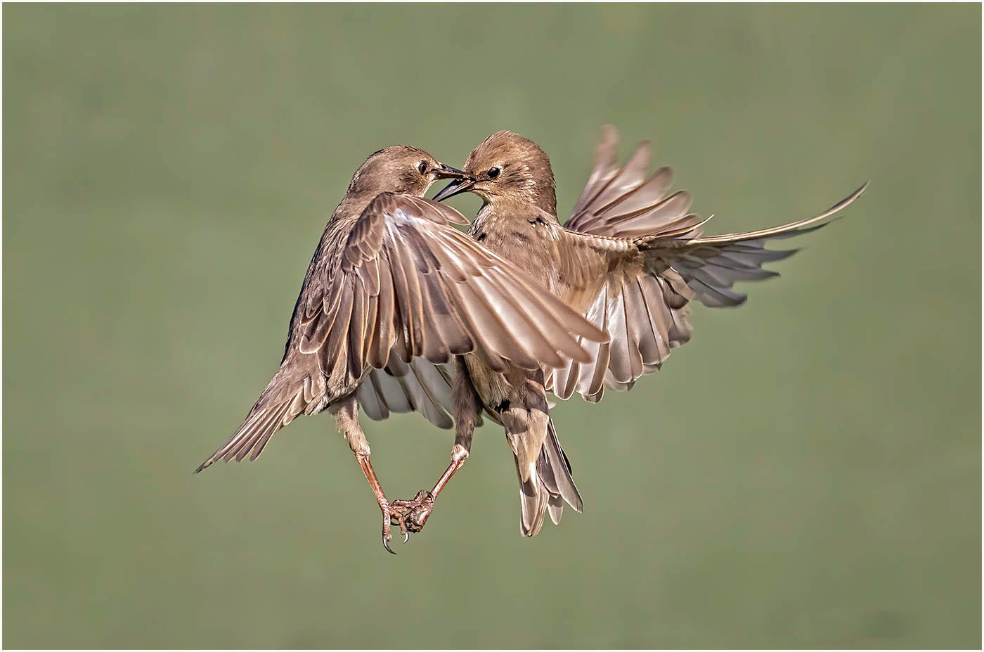 Shall we dance?