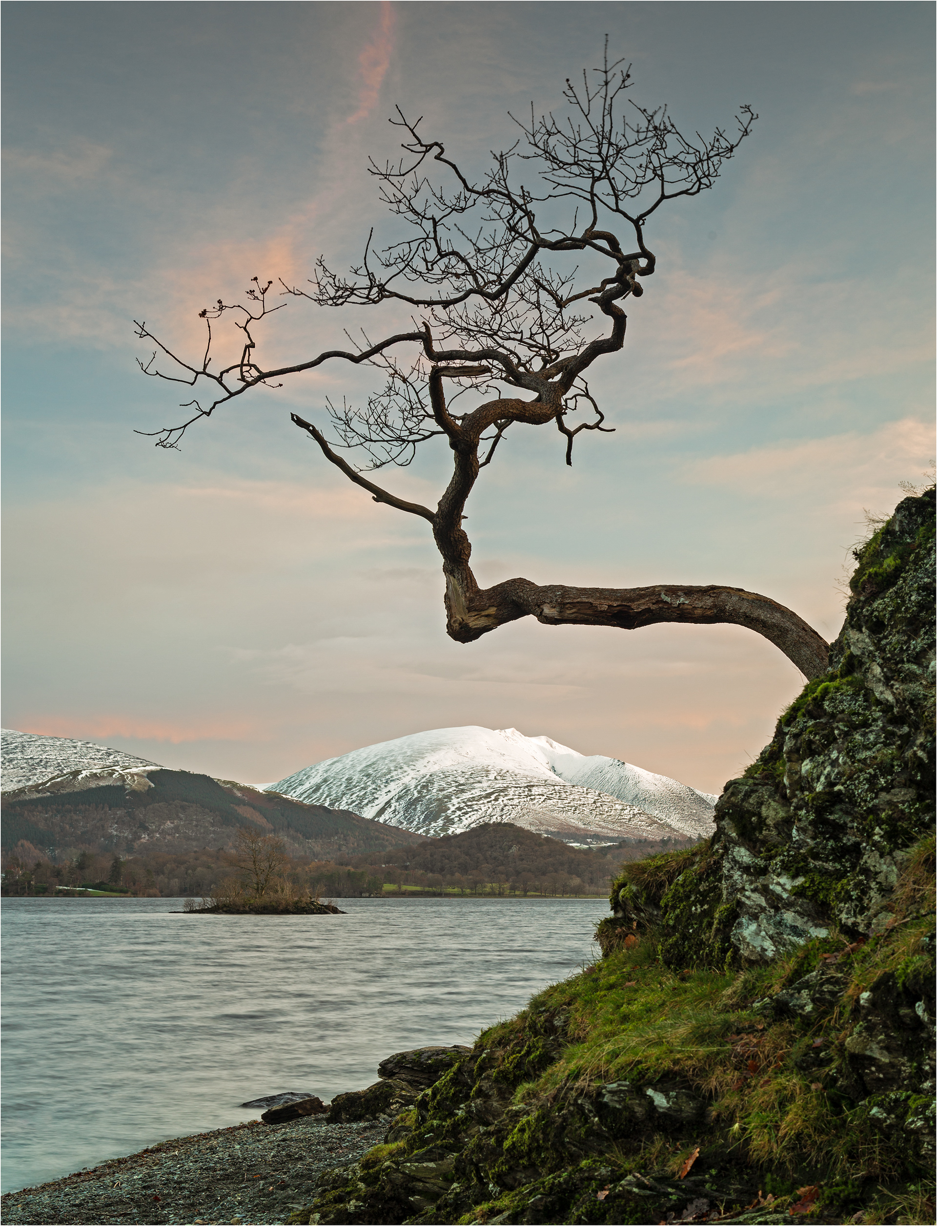 The Otterbield Tree at Derwentwater, Cumbria