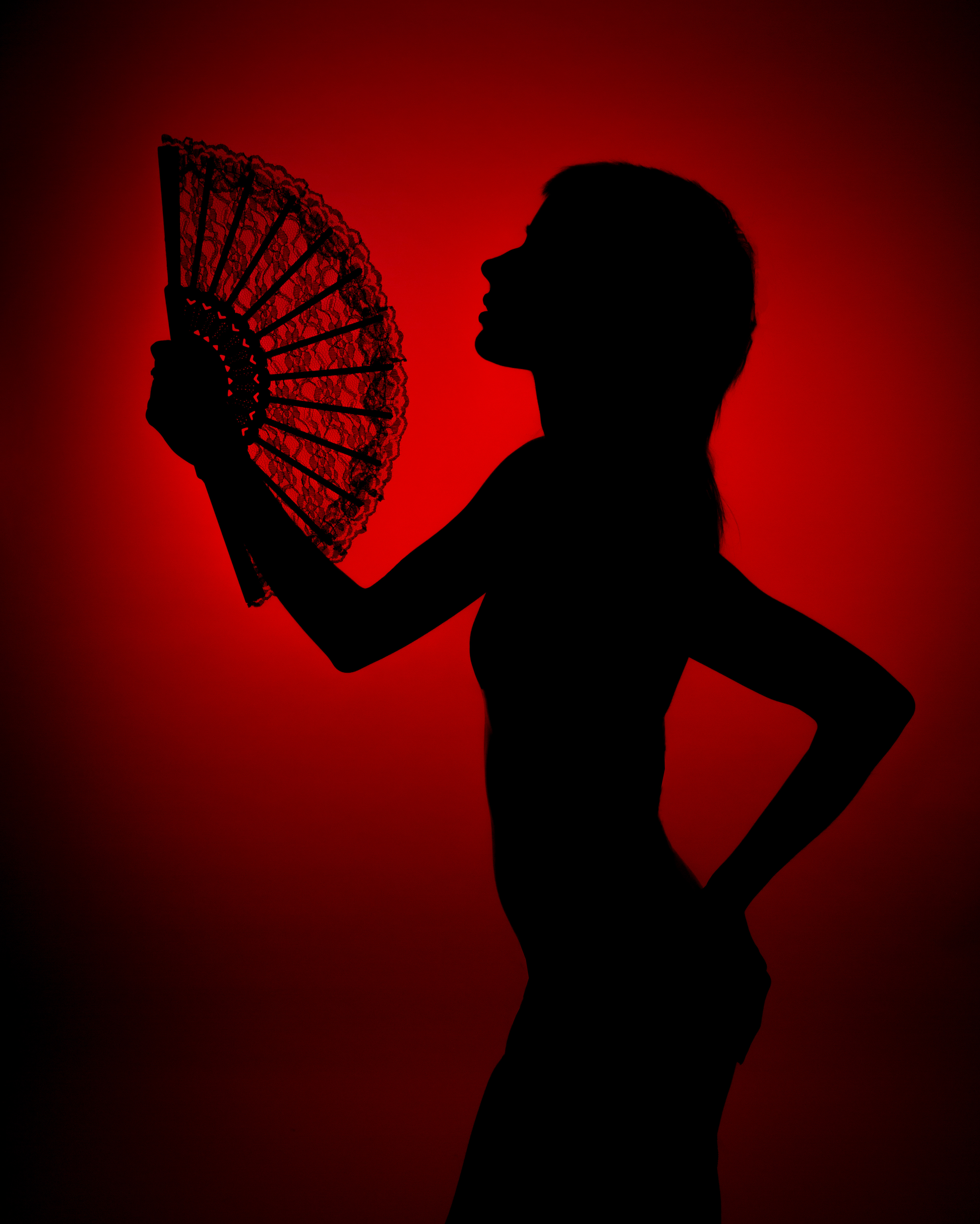 Gracie silhouette