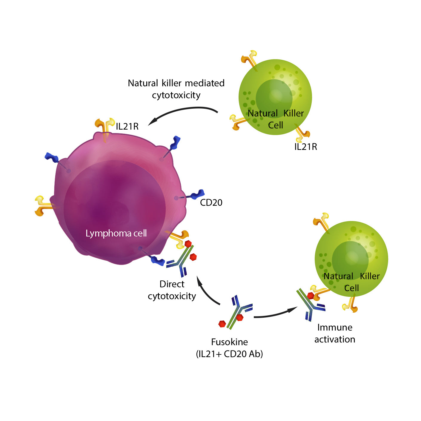 Immunology