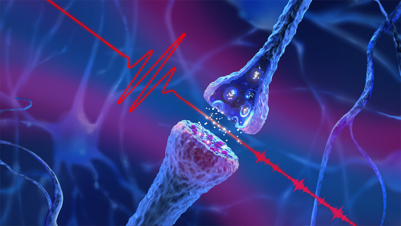 Made for Wiley/ Analytical science, article:femtosecond-fieldoscopy