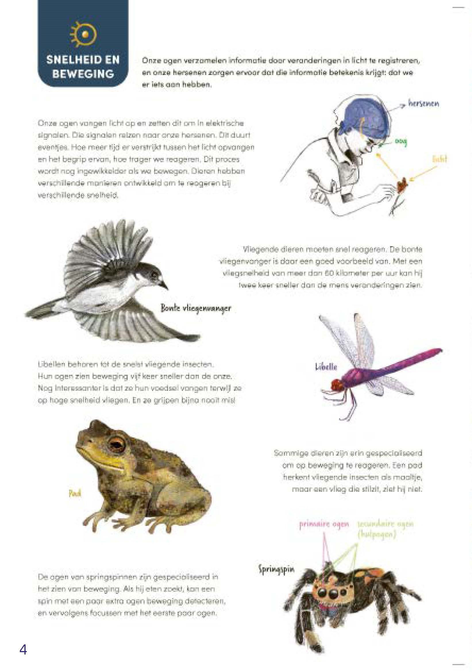 Illustrations for science communication