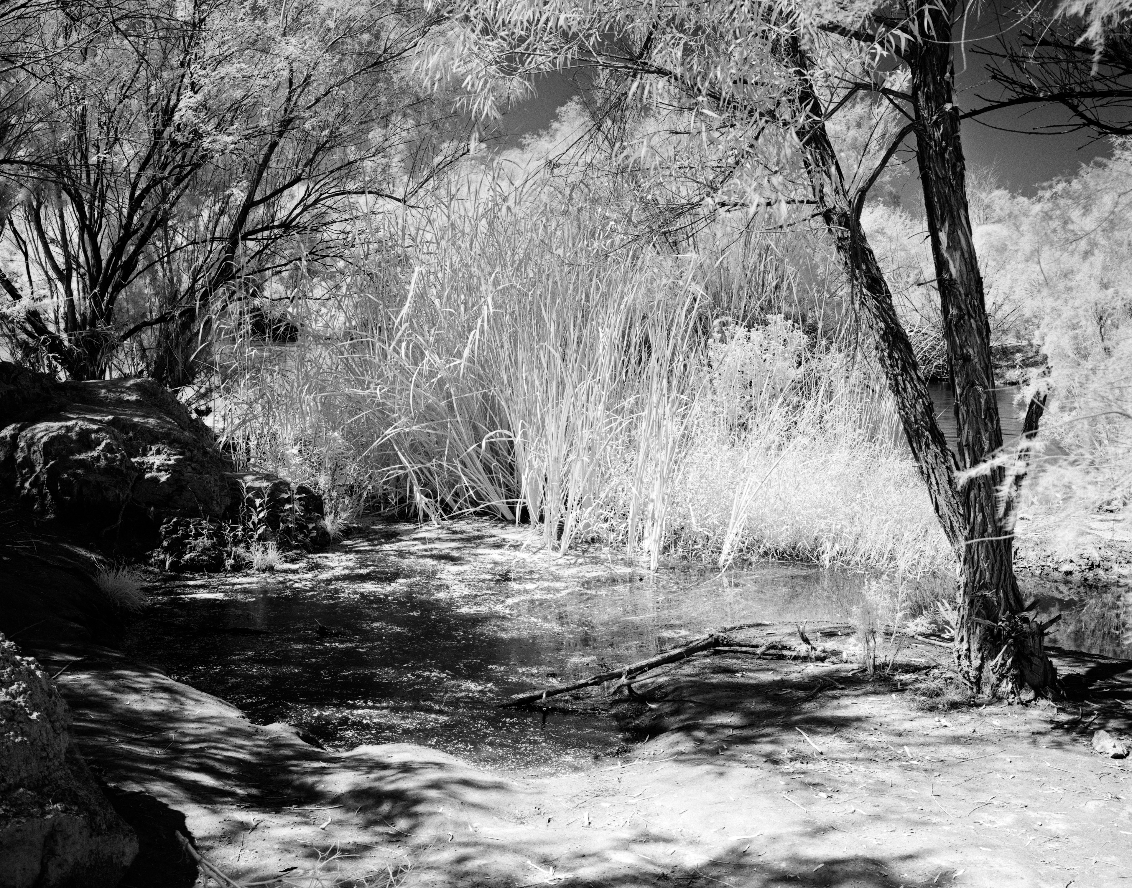 Salt River in Mesa, AZ, Hohokam holy place, shot on Mamiya6, Ilford infrared film