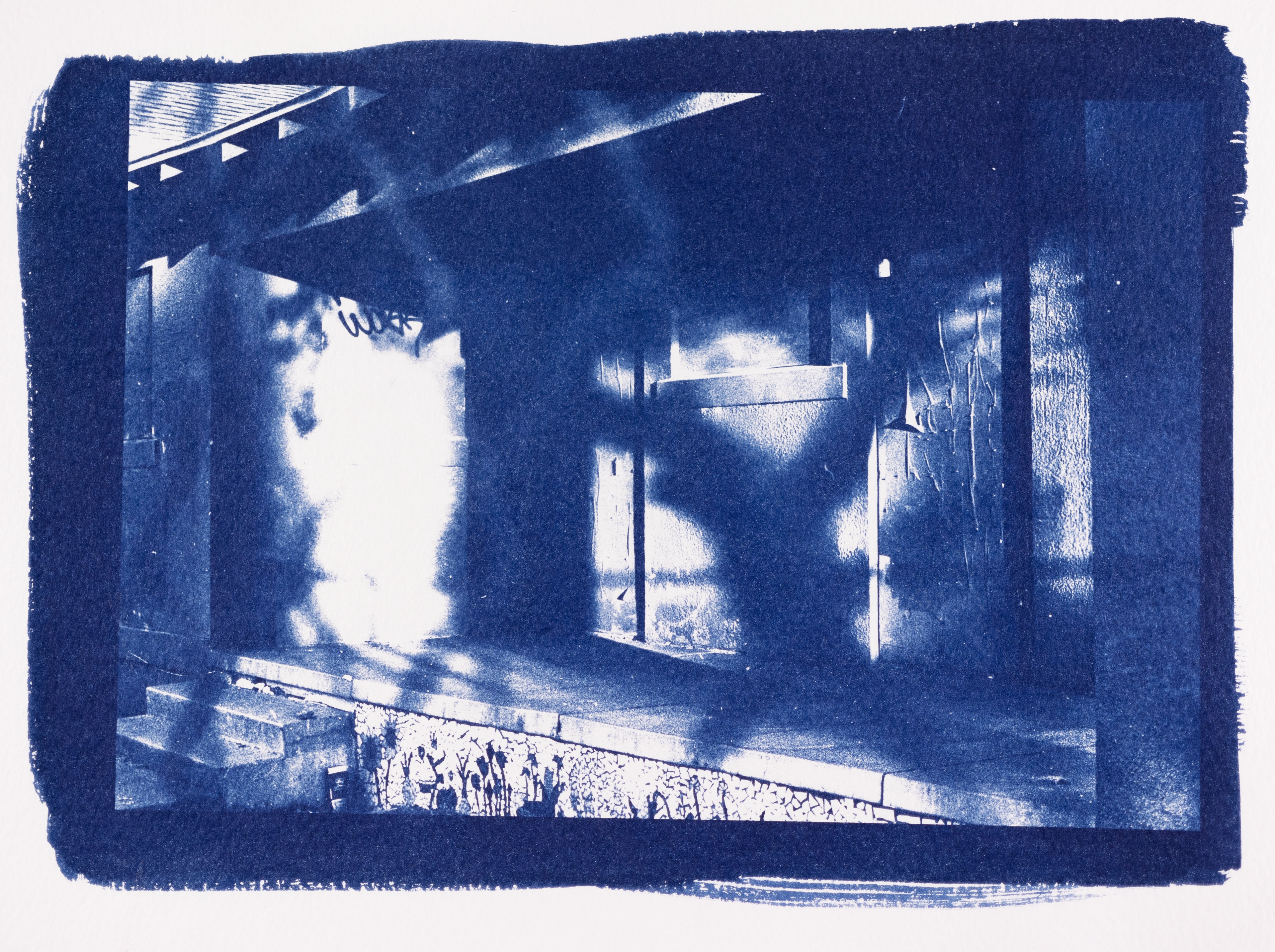 Texture study, shot on Cannon AE-1, HP-5 35mm B&W film, printed as cyanotype