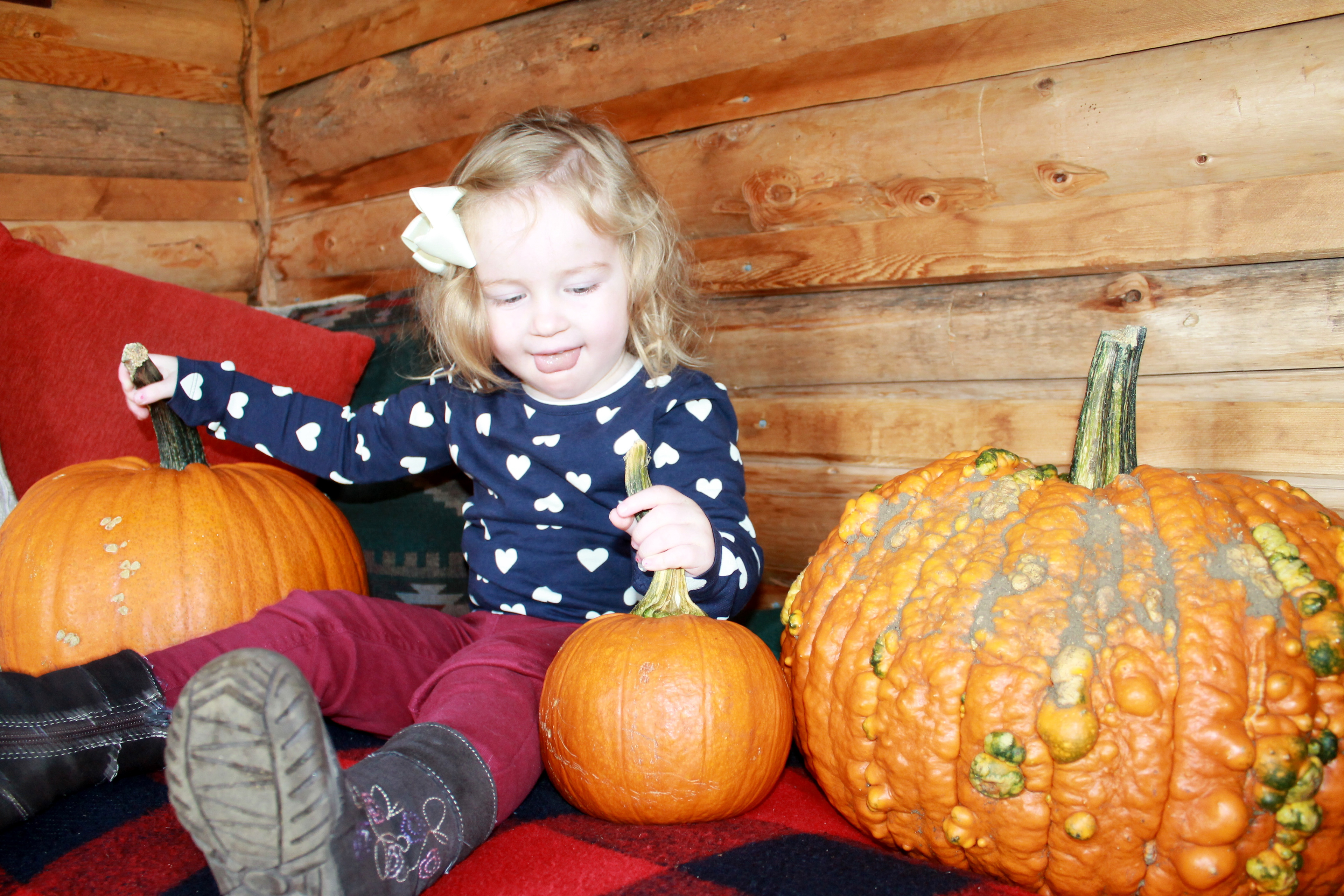 Bilodeau/McCoy Family