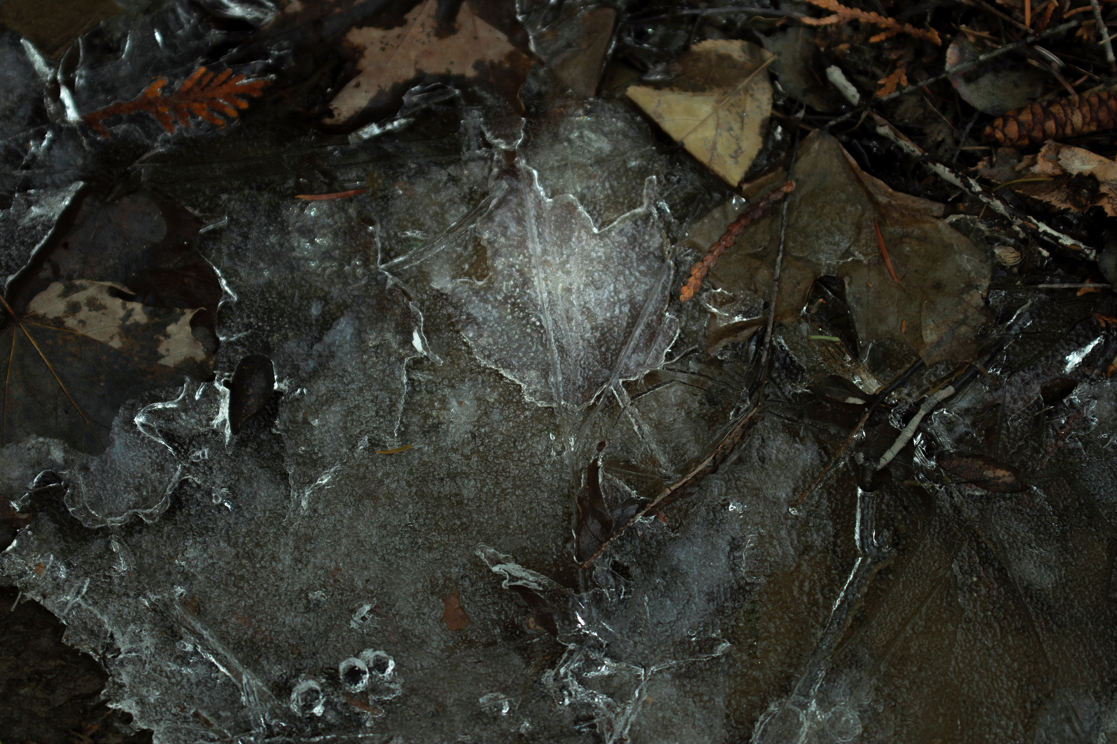 Frozen Imprints