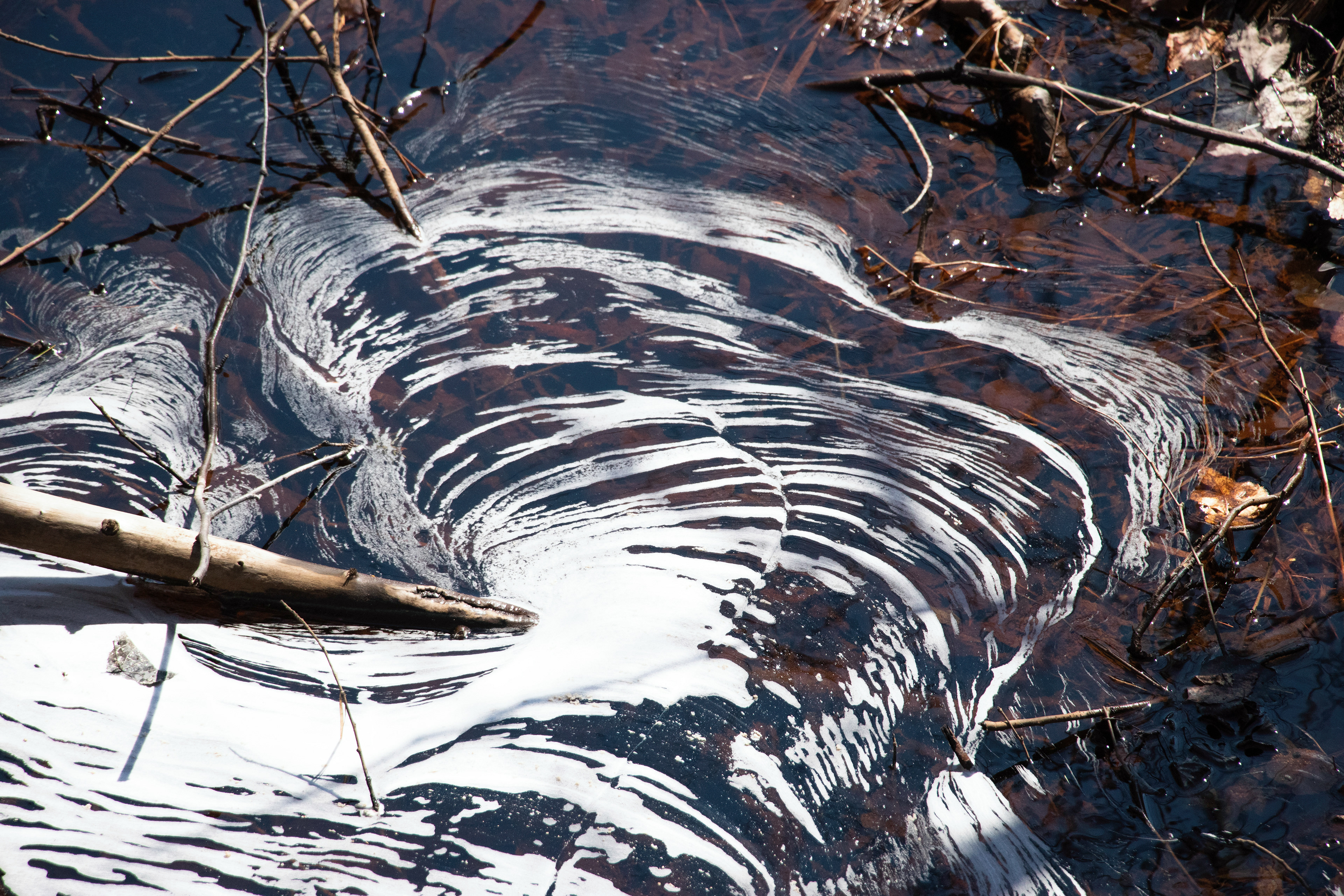 Water Feather