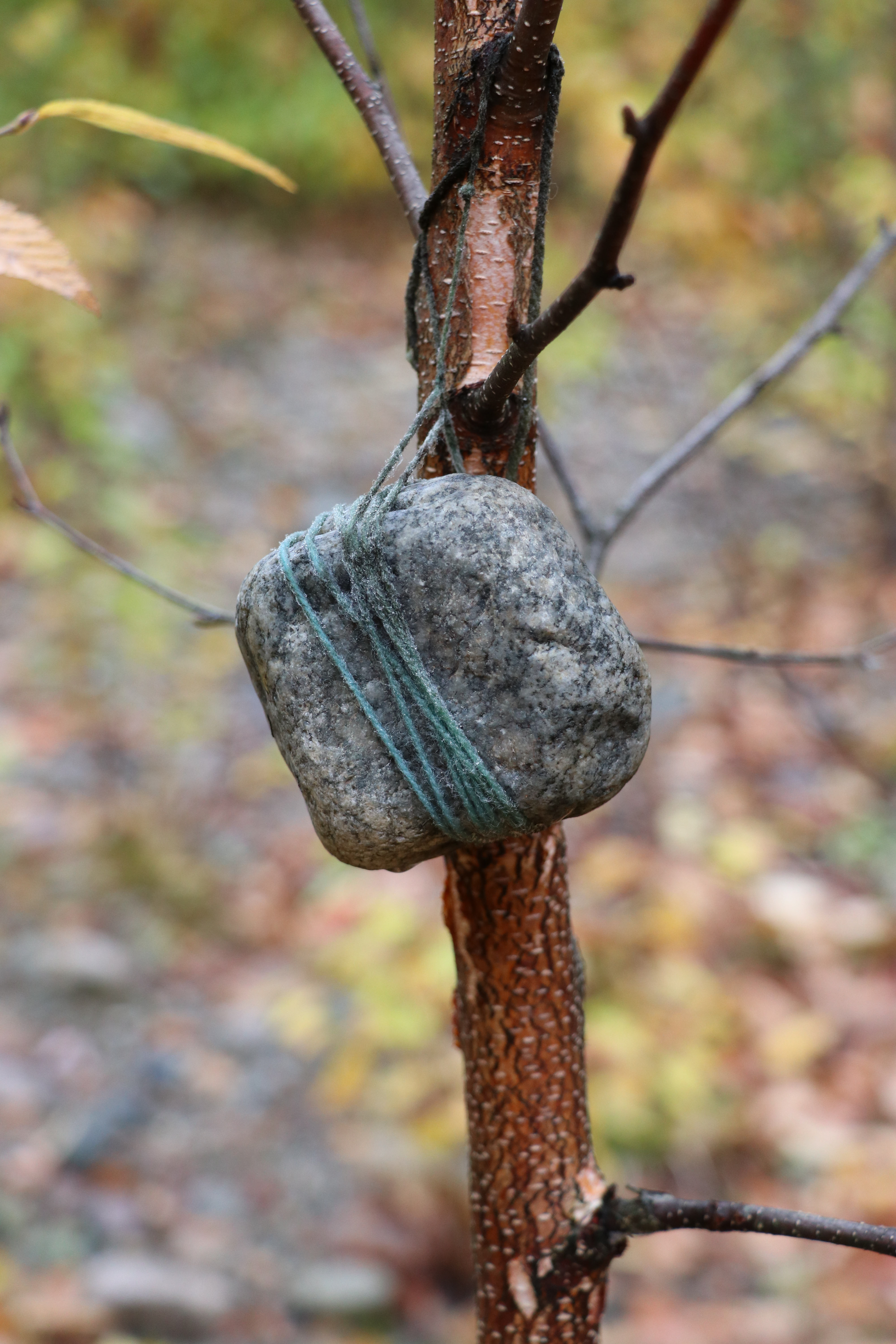 Tied Rock
