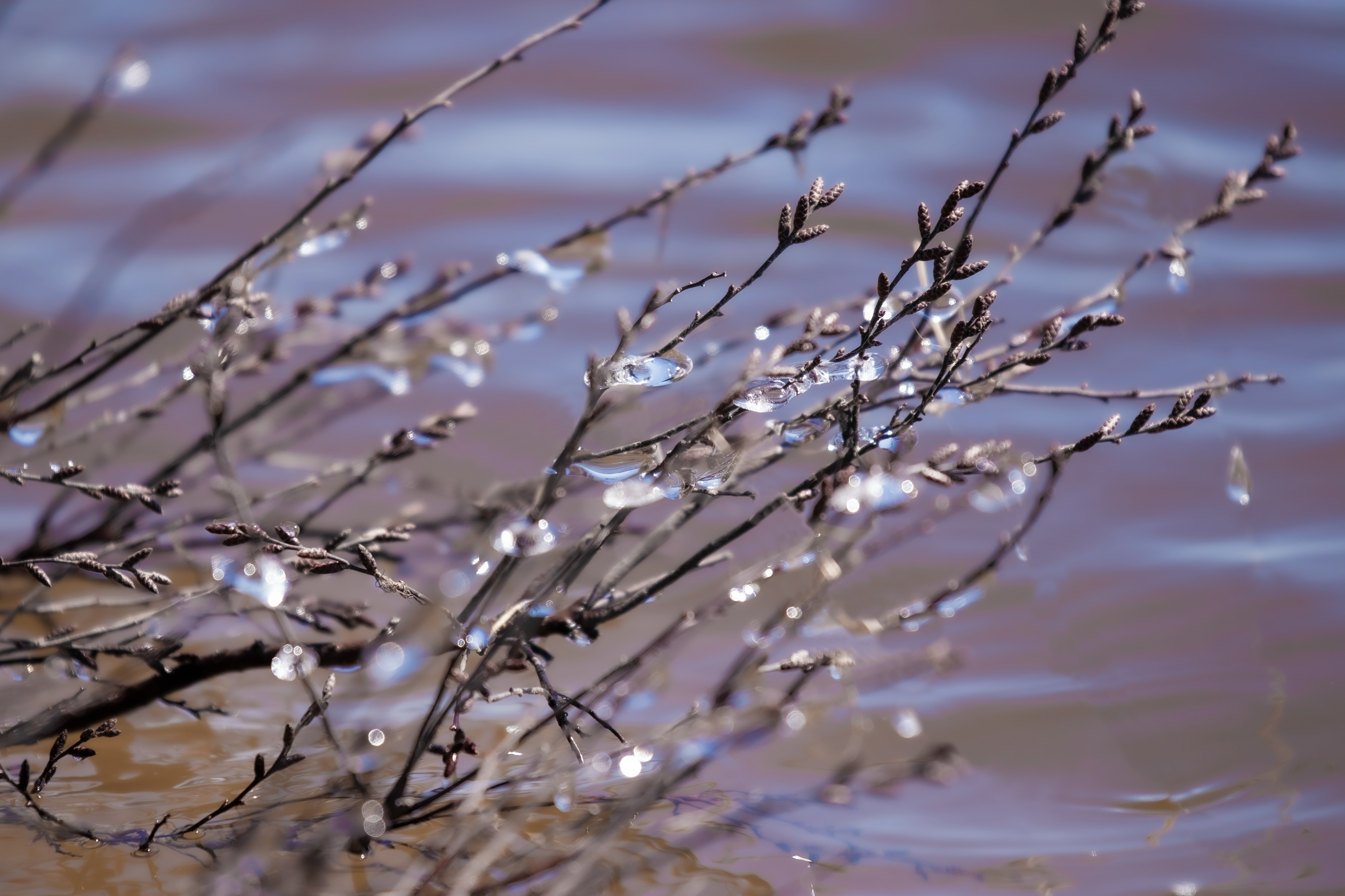 Ice Crystals