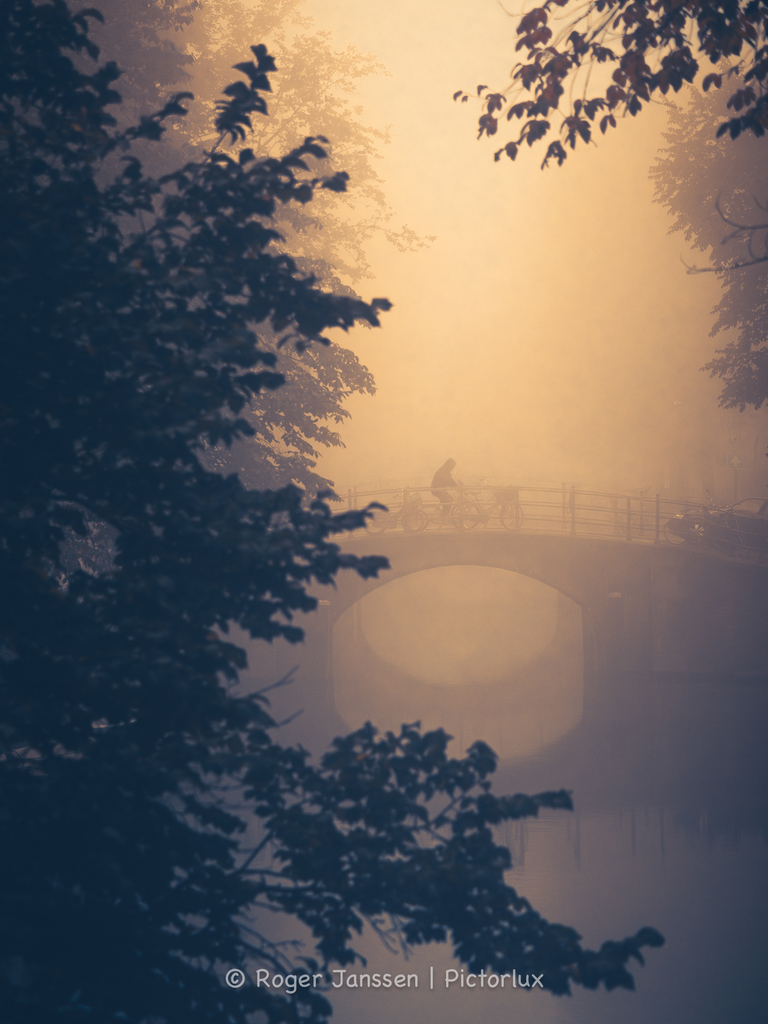 Cyclist crossing a canal bridge in Amsterdam on a misty autumn morning.