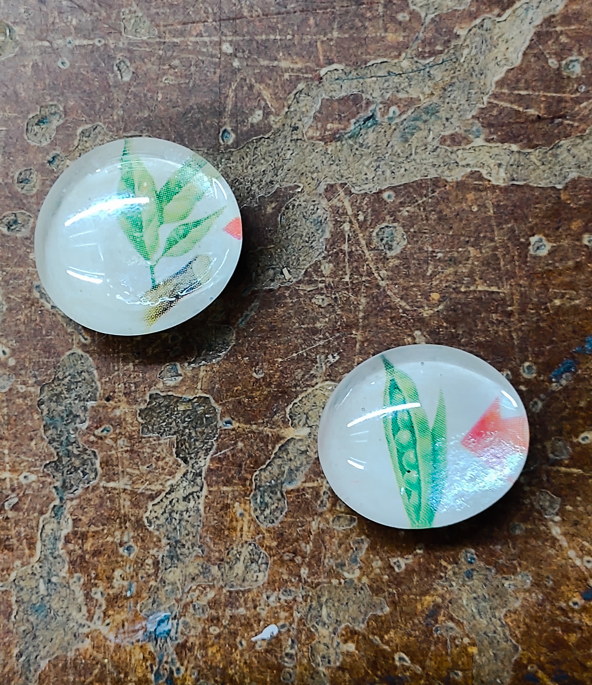 F&R magnets, leaves and pod $1 each