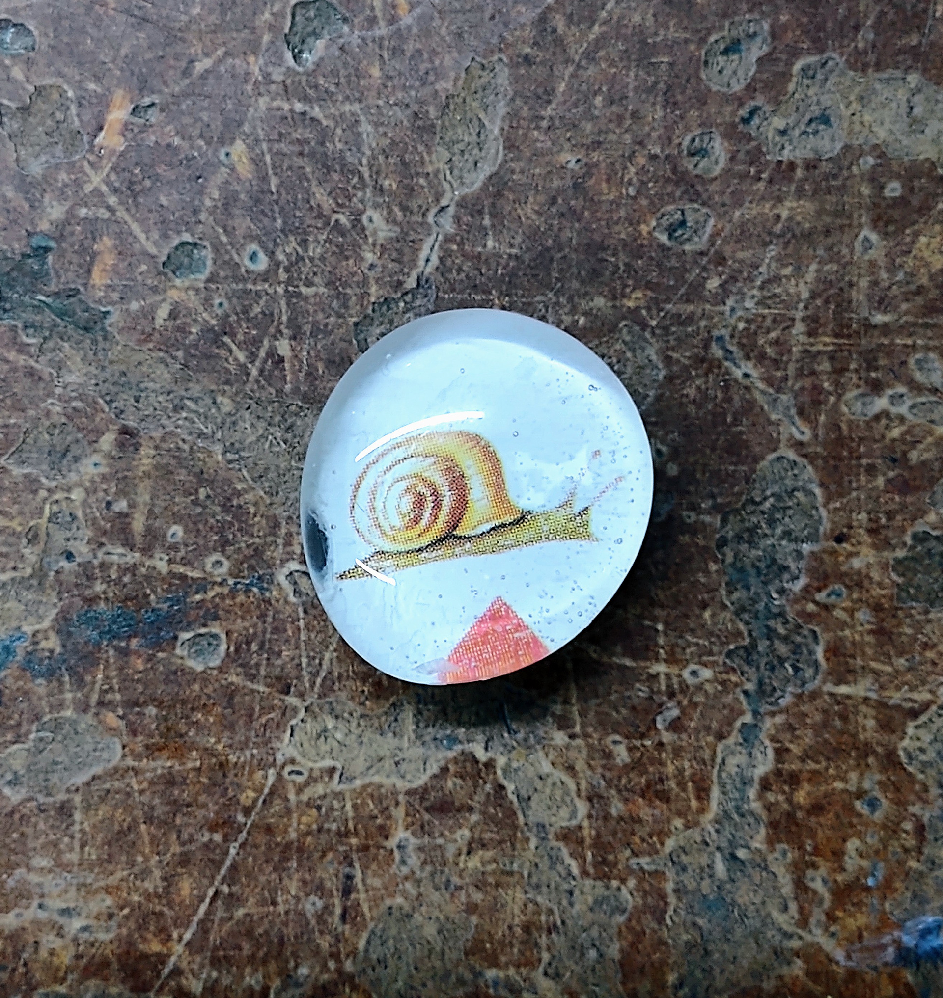 F&R snail magnet, $1