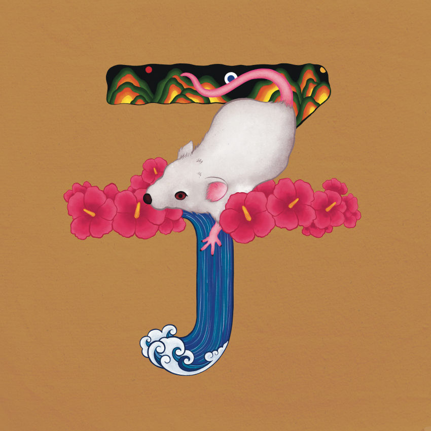 Rat