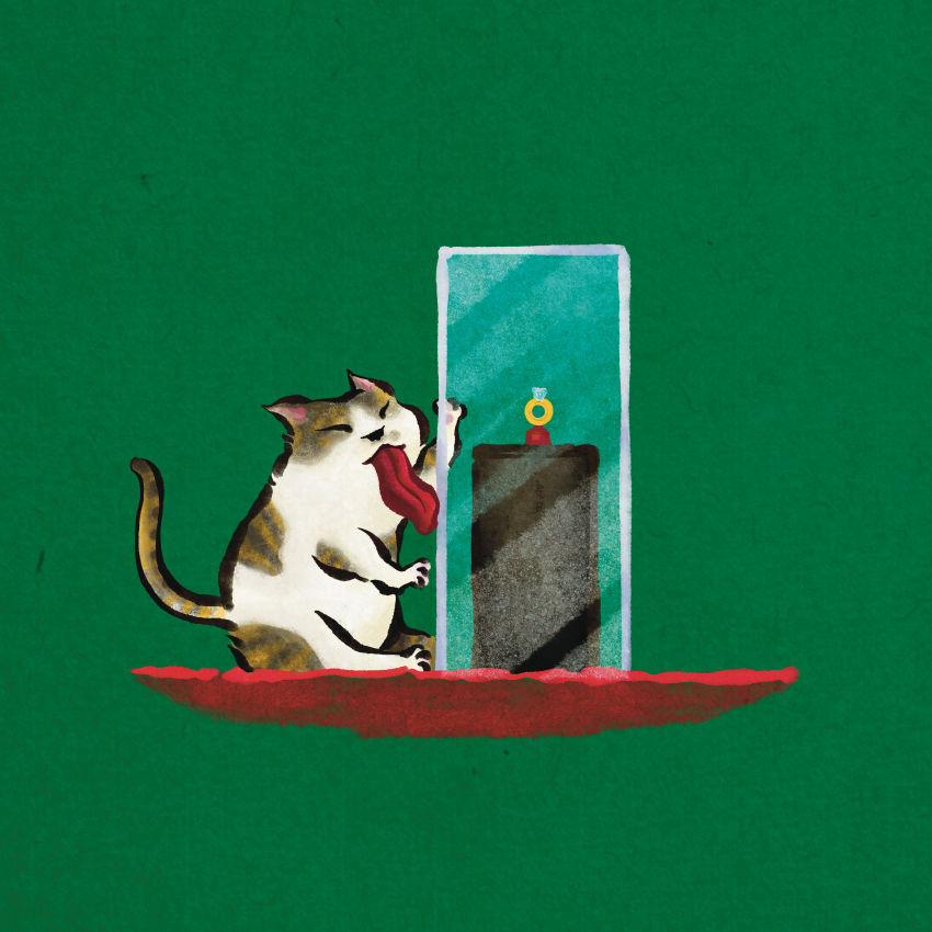 Faire du lèche-vitrine