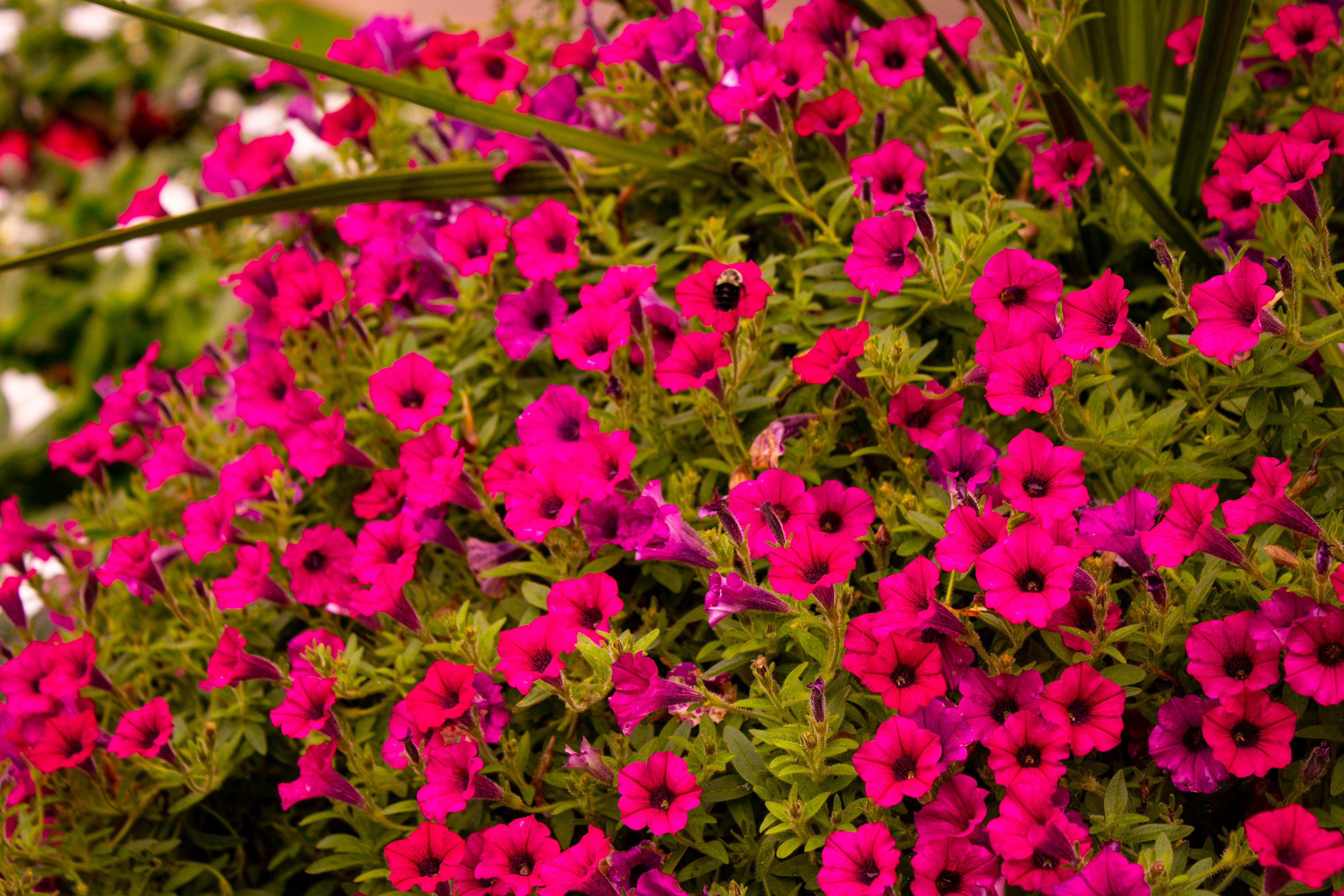 West Long Branch, NJ