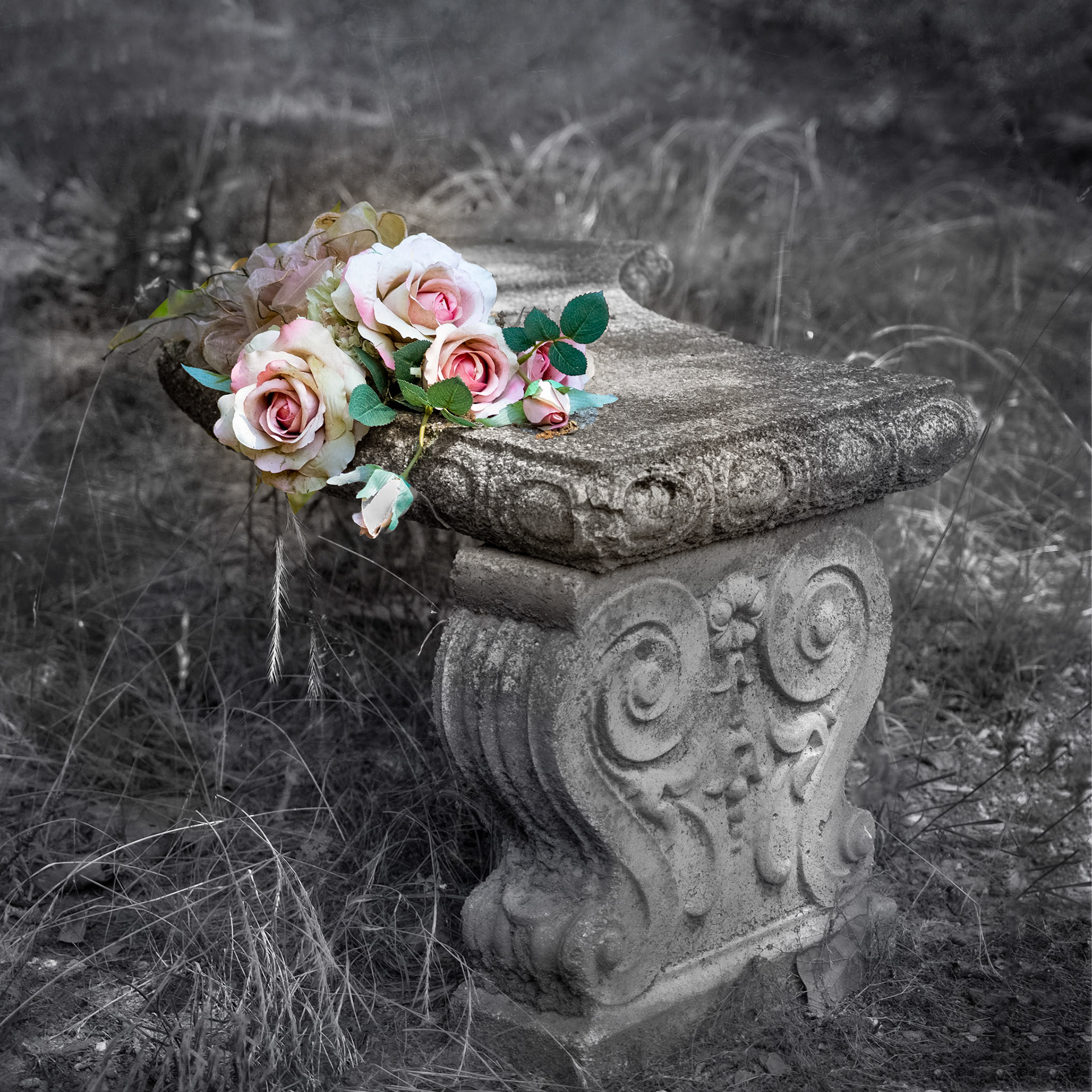 ©Mandy Saunders