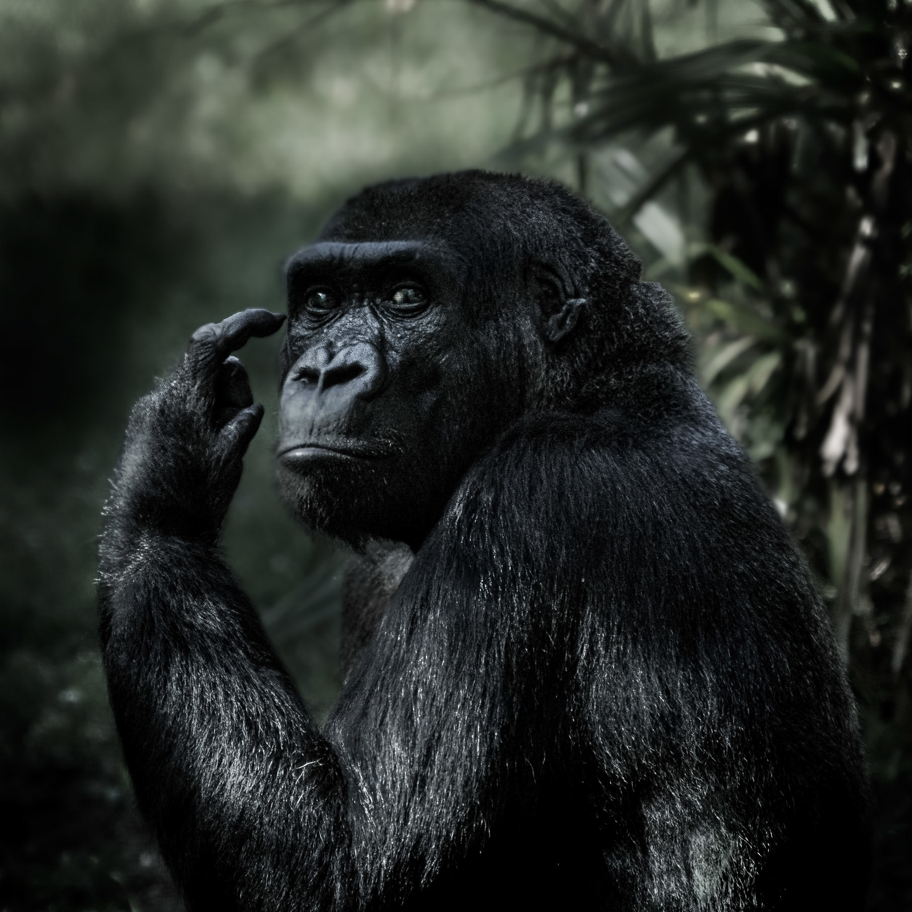 MJS Designs #getolympus