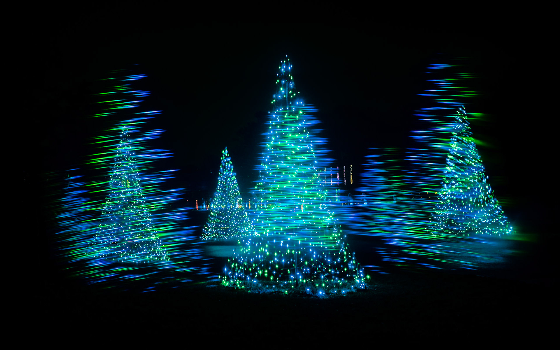 MJS Designs #getolympus
