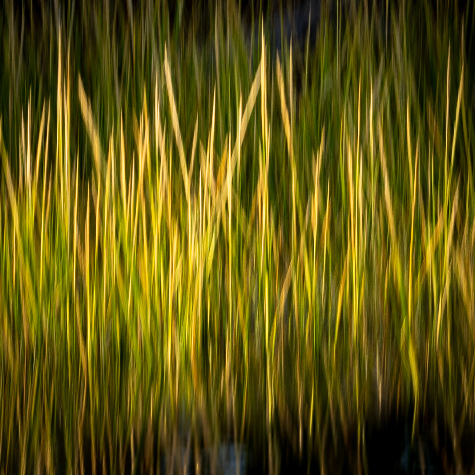MJS Designs #getolympus