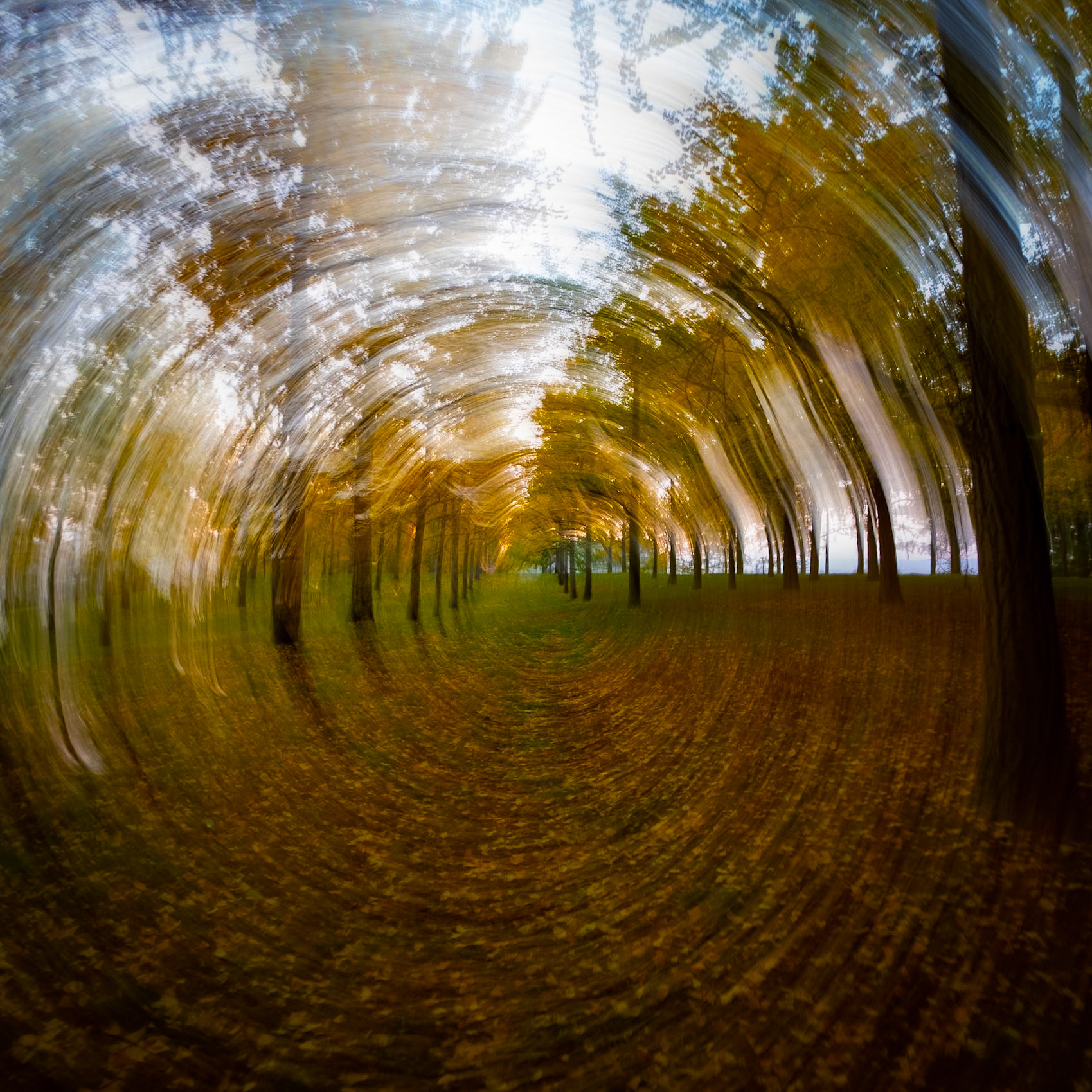 ©Mandy Saunders