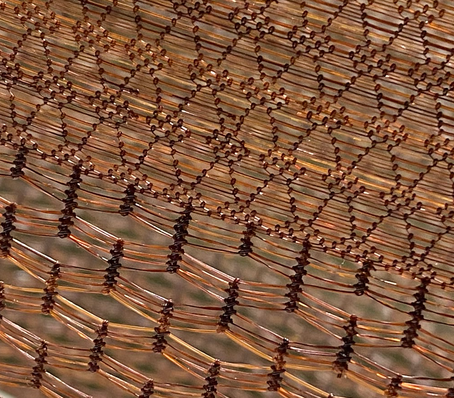 Dahye Jeong - close up to detail