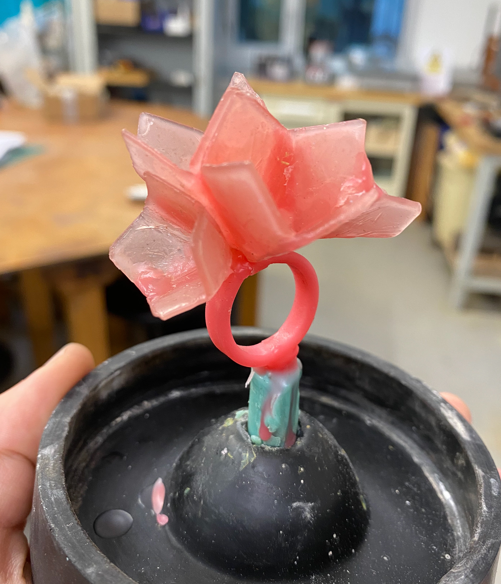 ring on tree preparing for casting