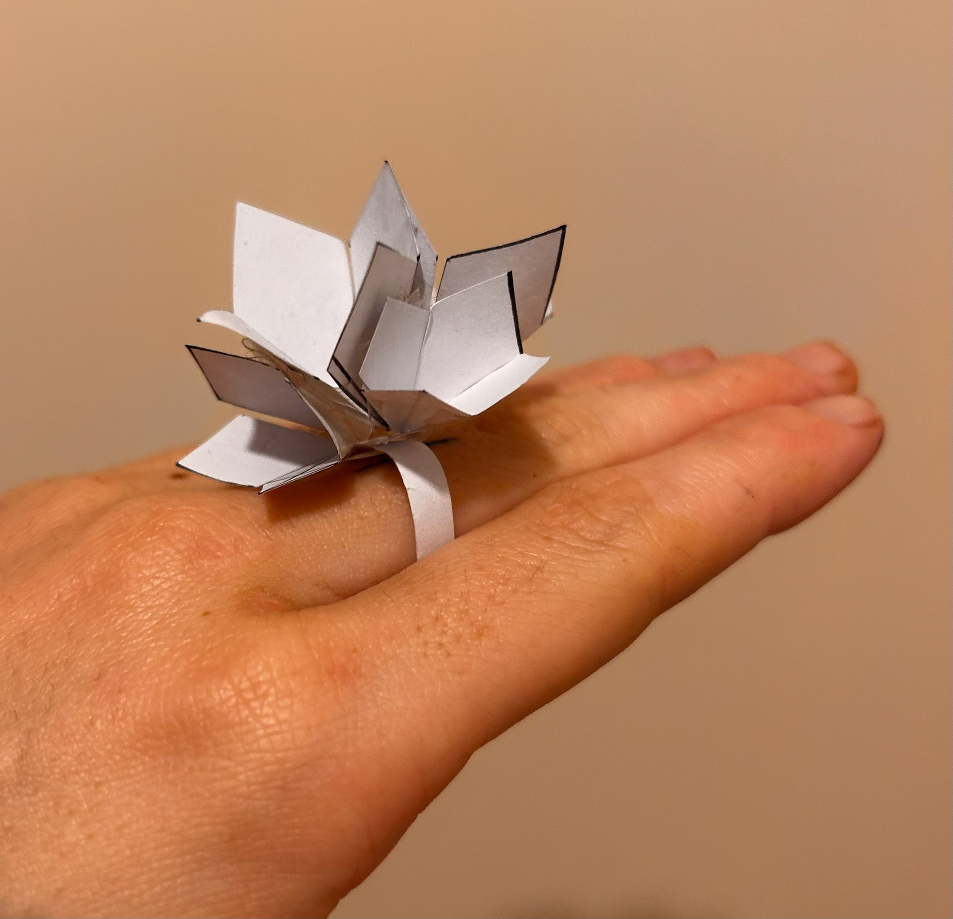 full ring paper sample