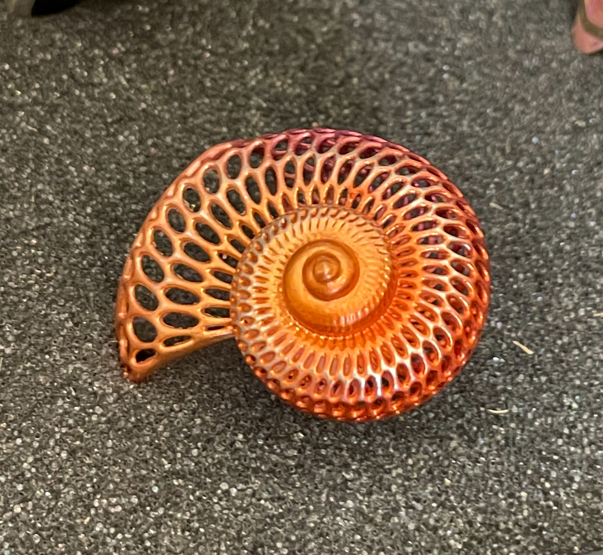 Ring by Lynne MacLachlan