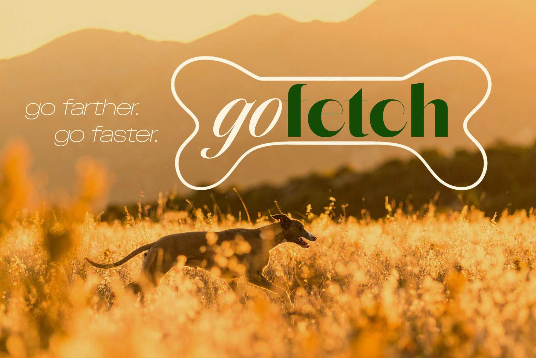Go Fetch Data Solutions Logo