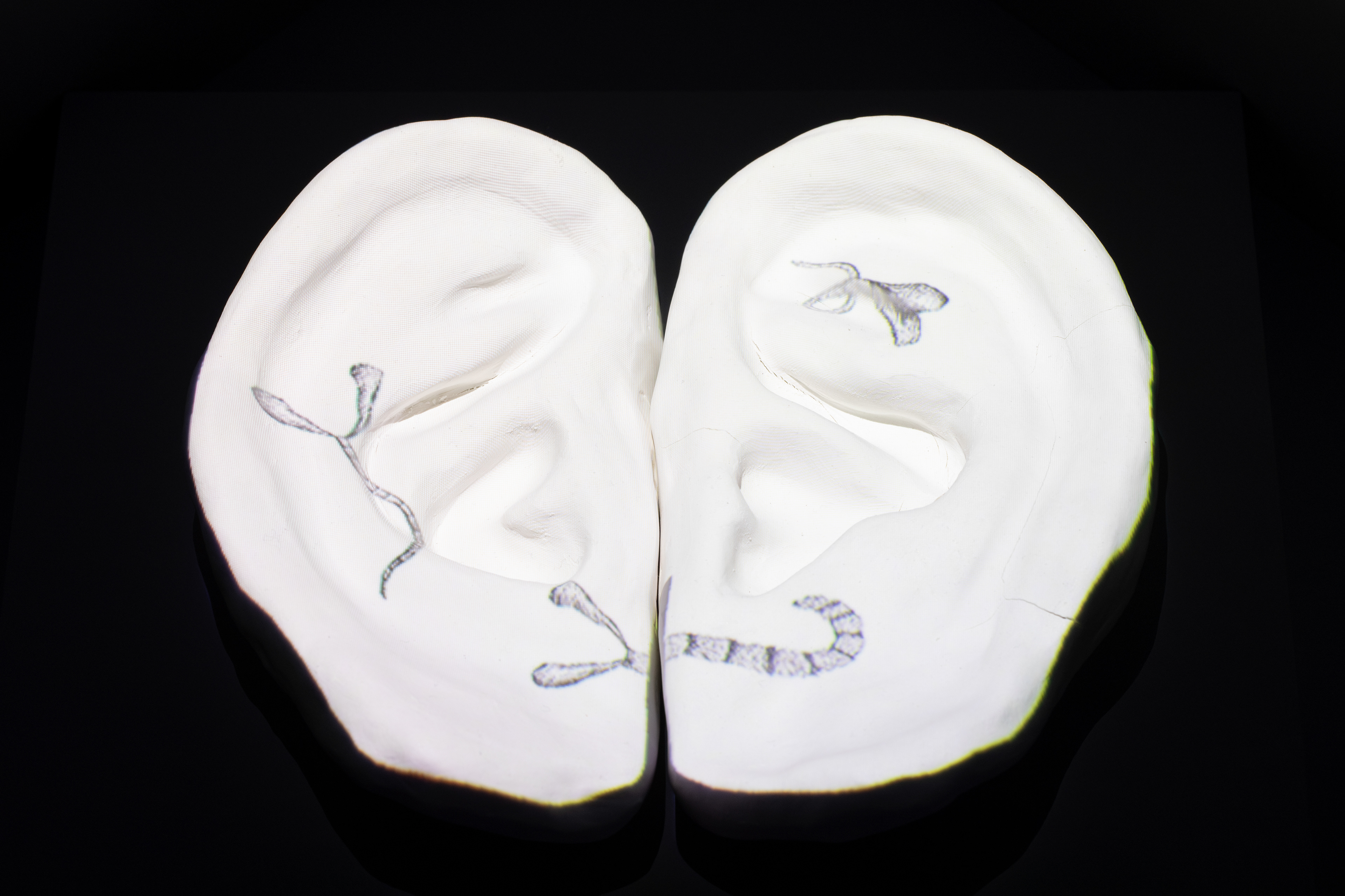 입꼬리잡기, 2025, 비디오설치, 단채널비디오, 흑백, 무음, 백자토, 가변크기, 반복재생