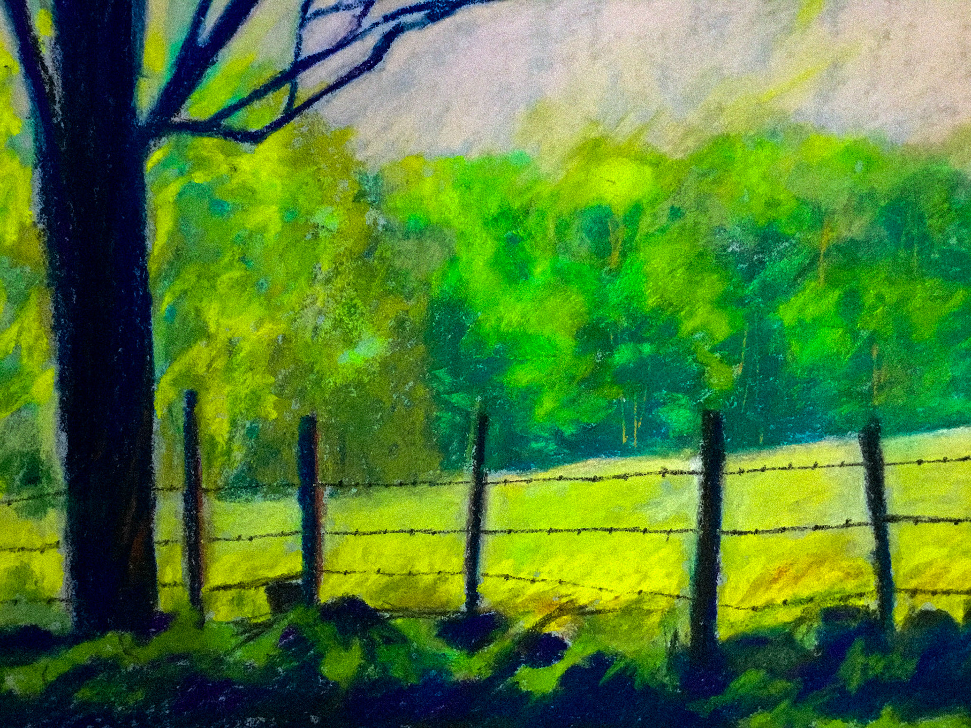 Bartrum’s cow pasture