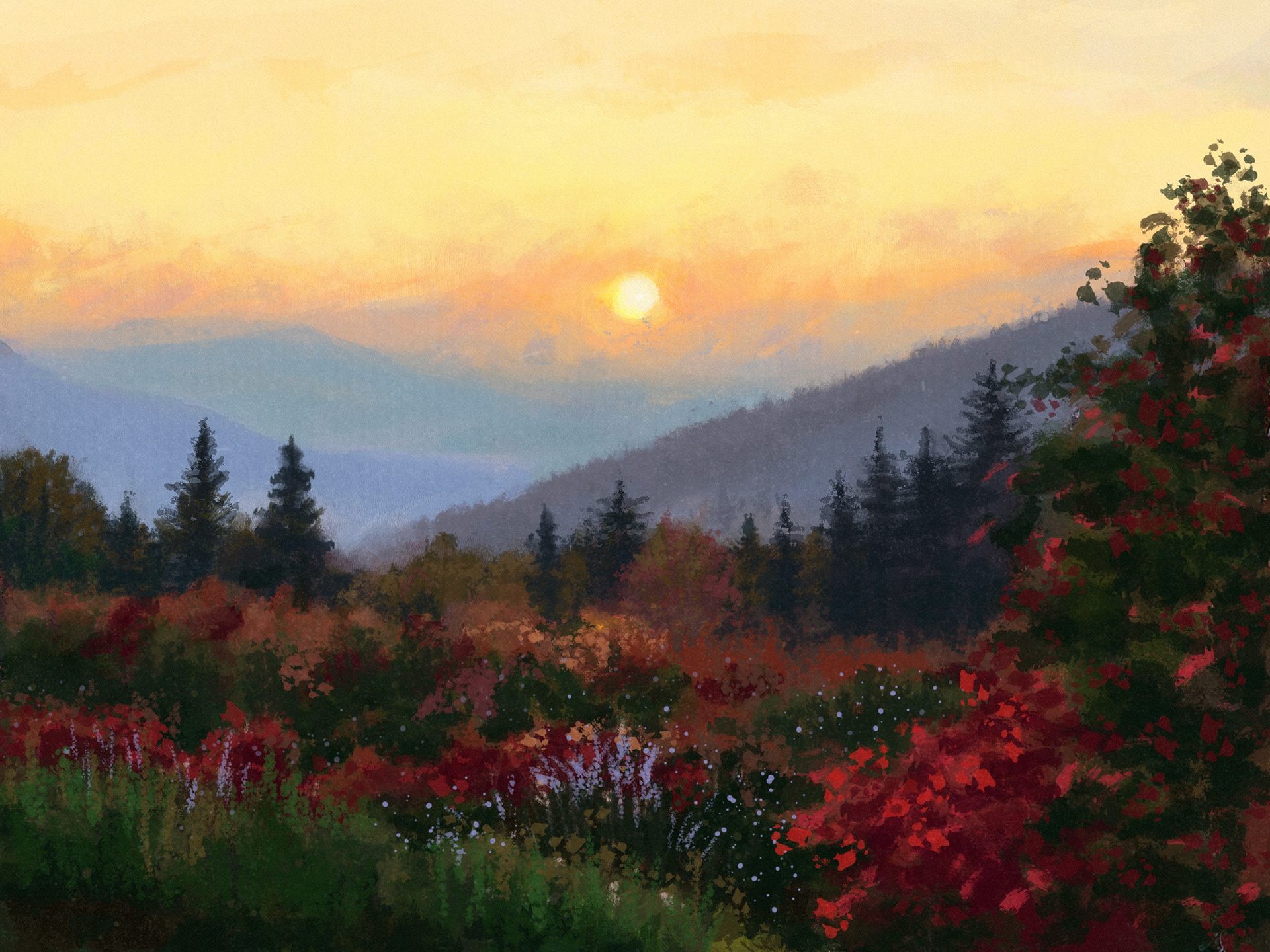 Sunset