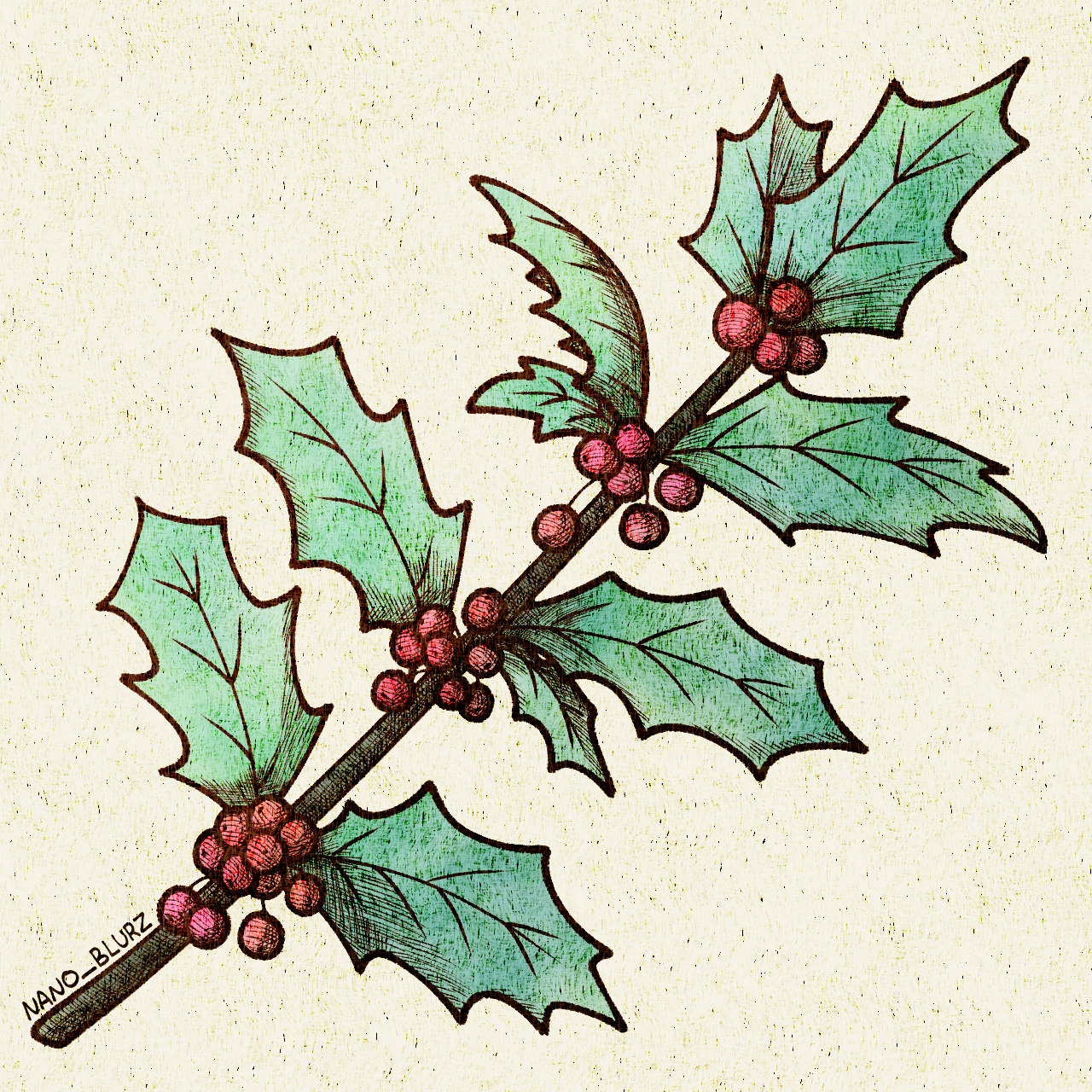 Branch of Holly