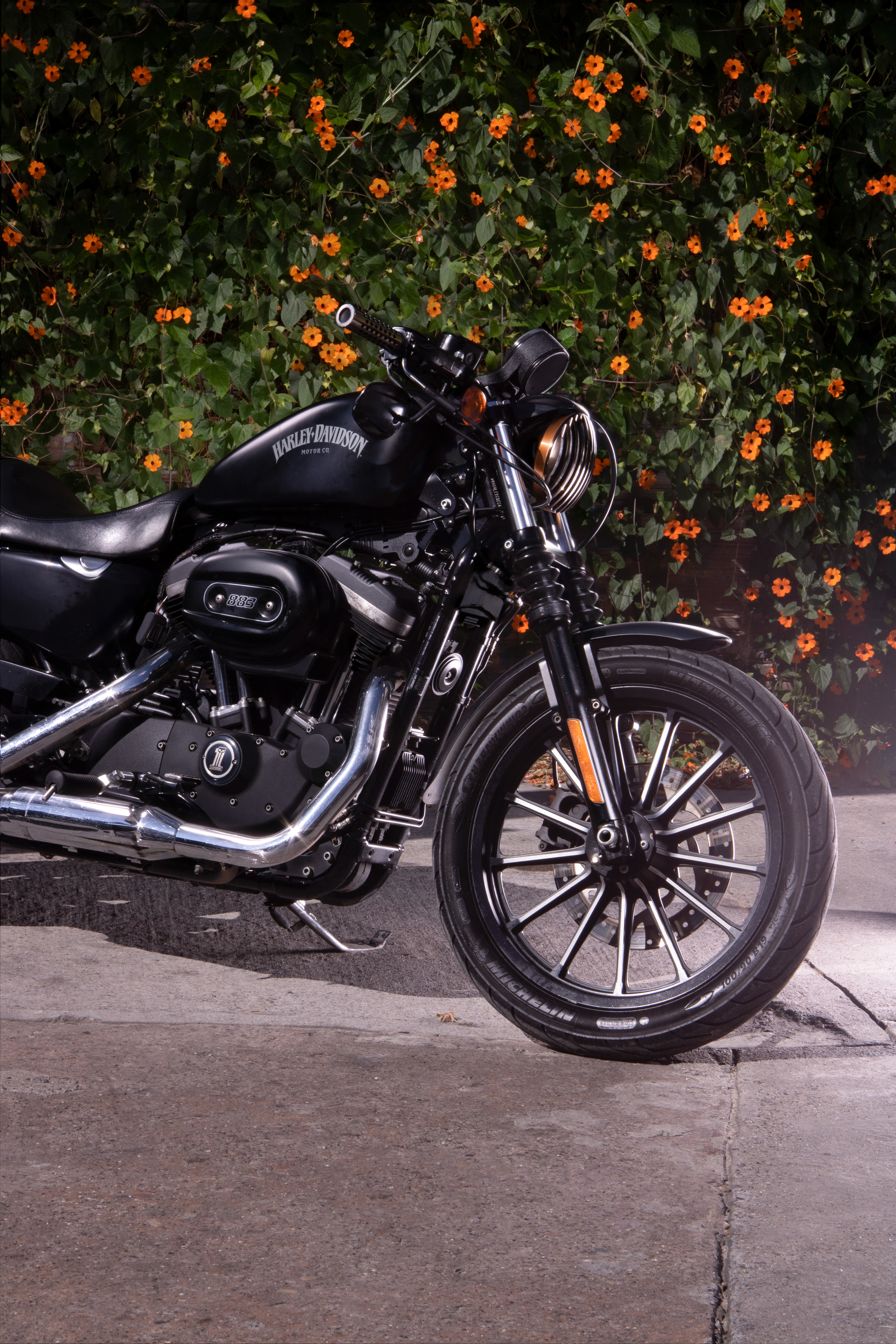 Harley Davidson