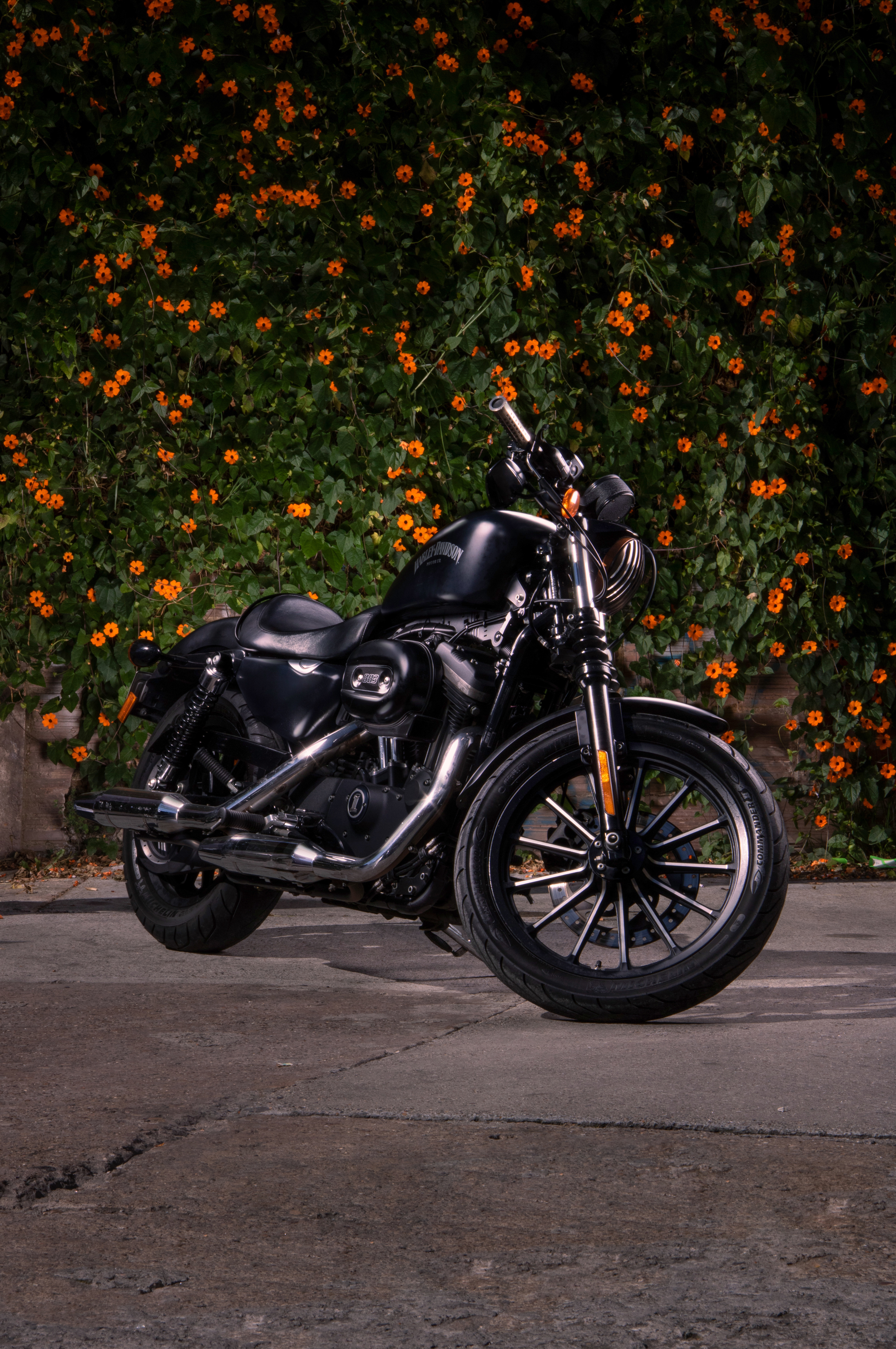 Harley Davidson