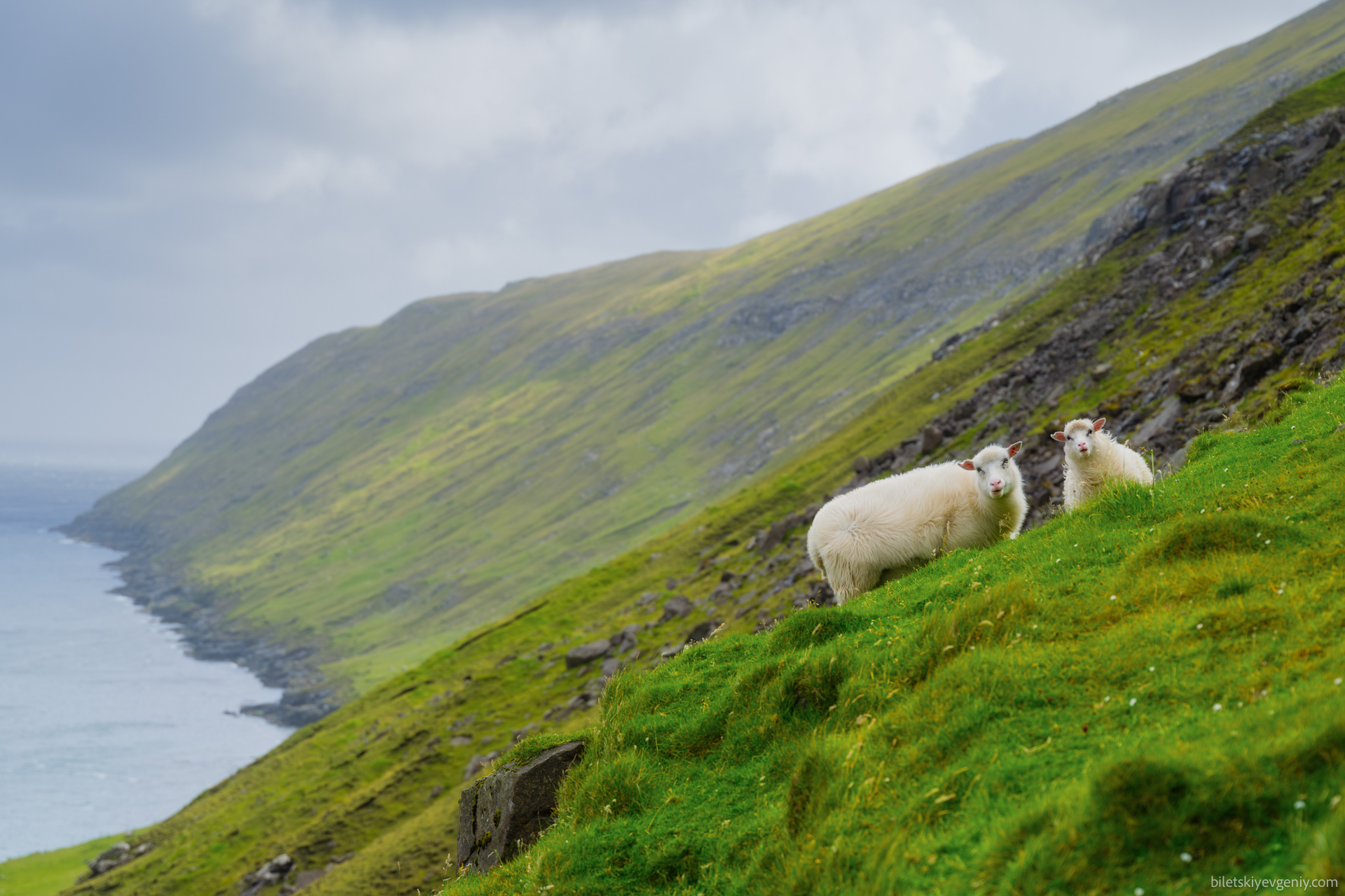 Faroe Islands, Denmark 