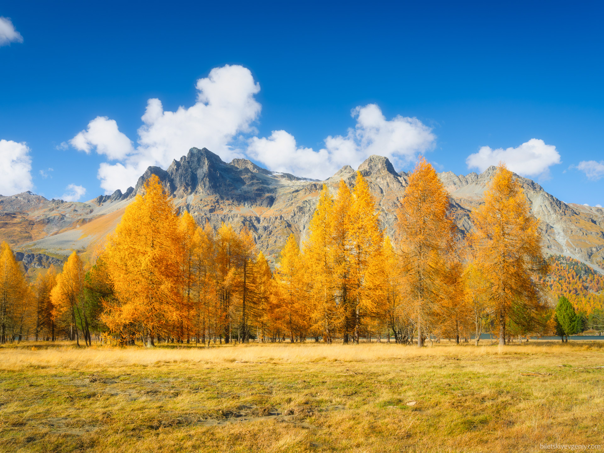 Switzerland, autumn 2024