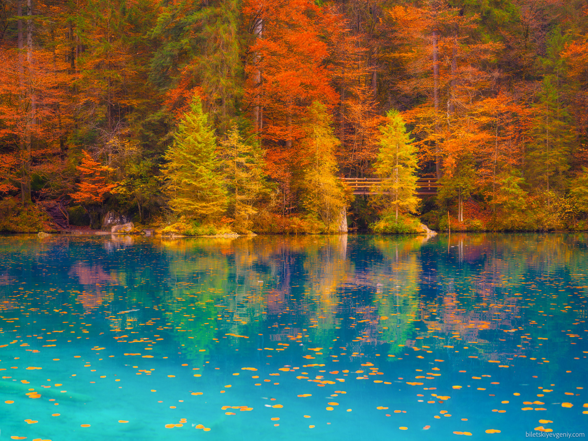 Switzerland, autumn 2024