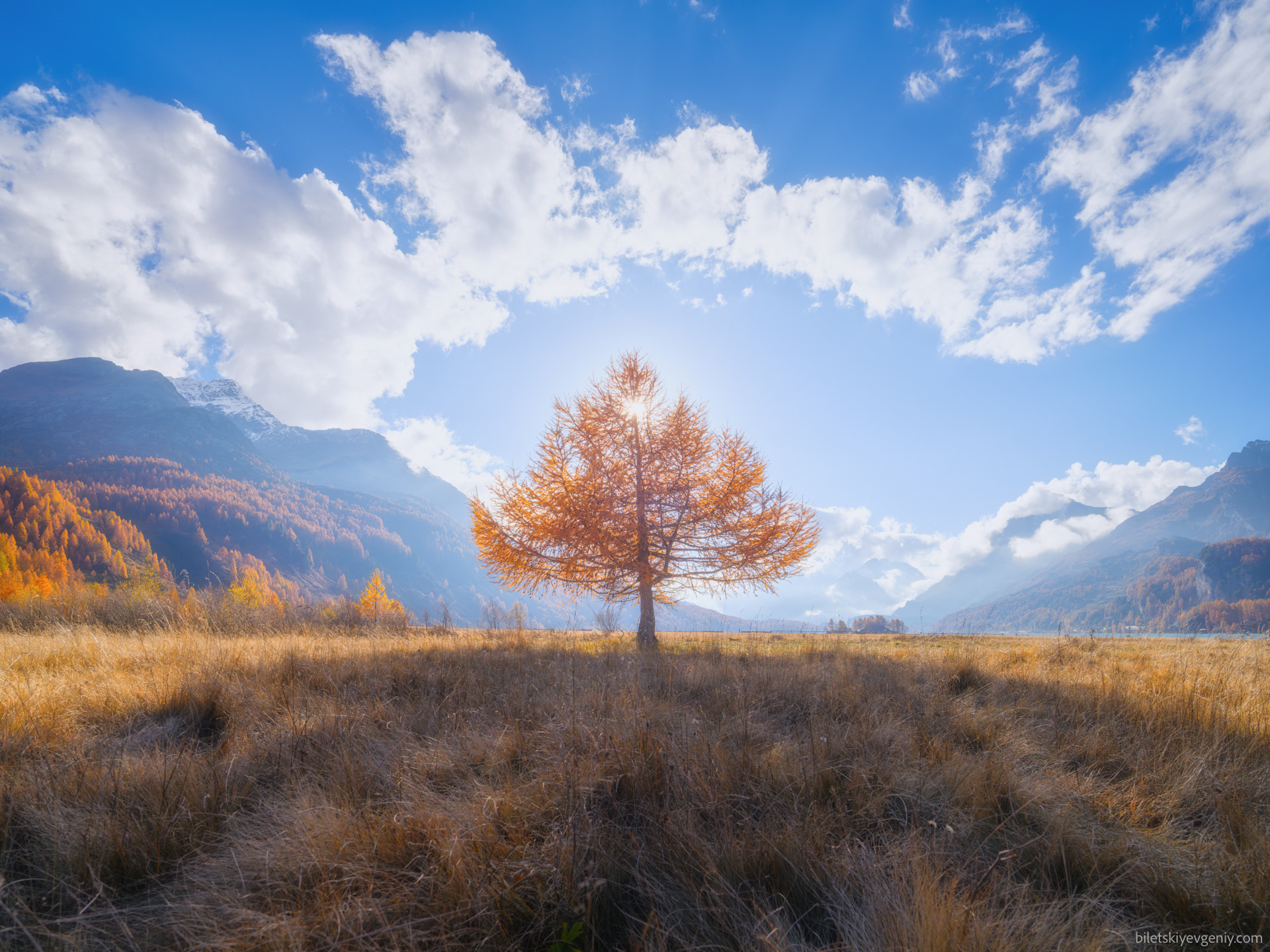 Switzerland, autumn 2024