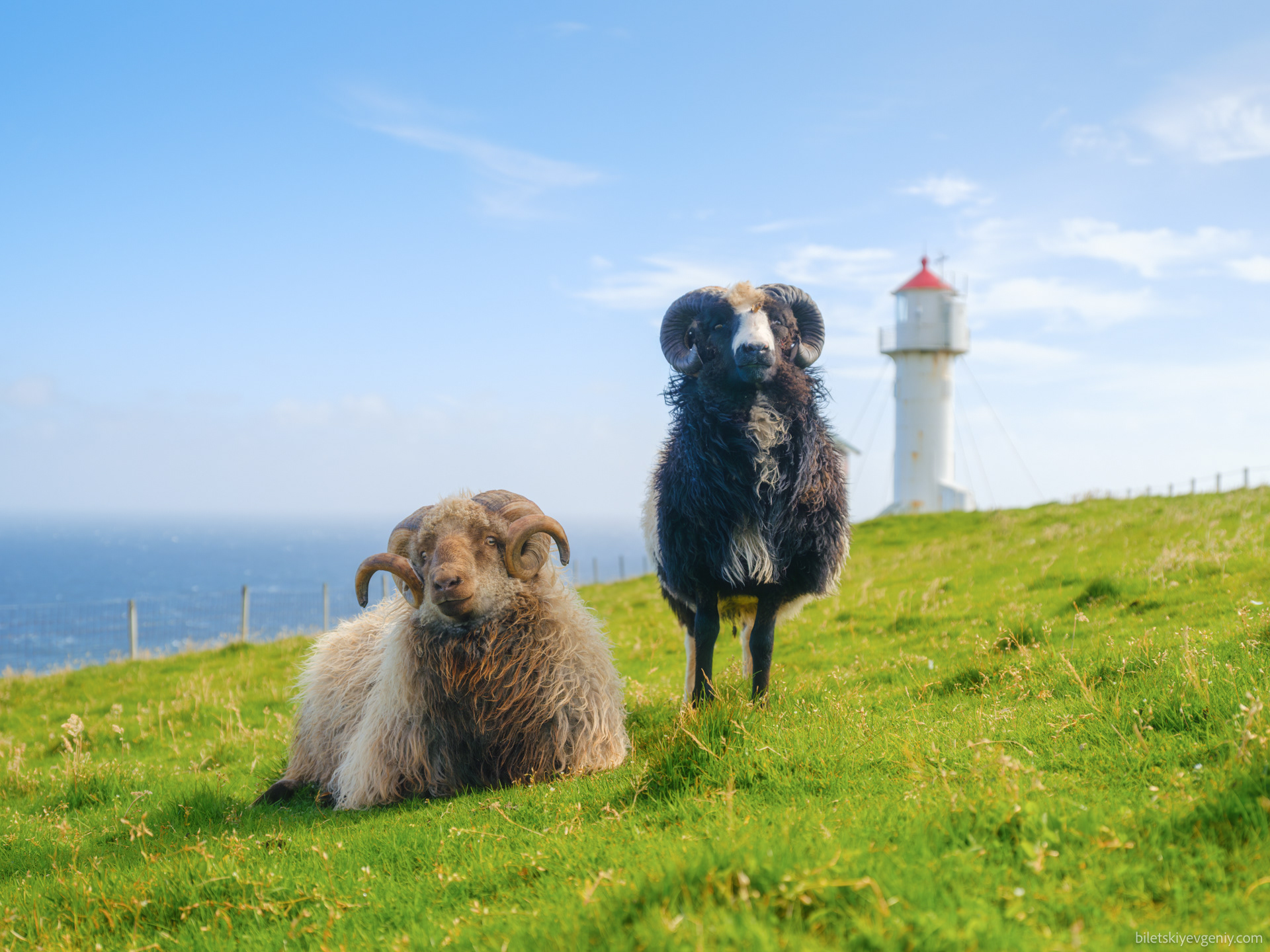 Faroe Islands, Denmark 
