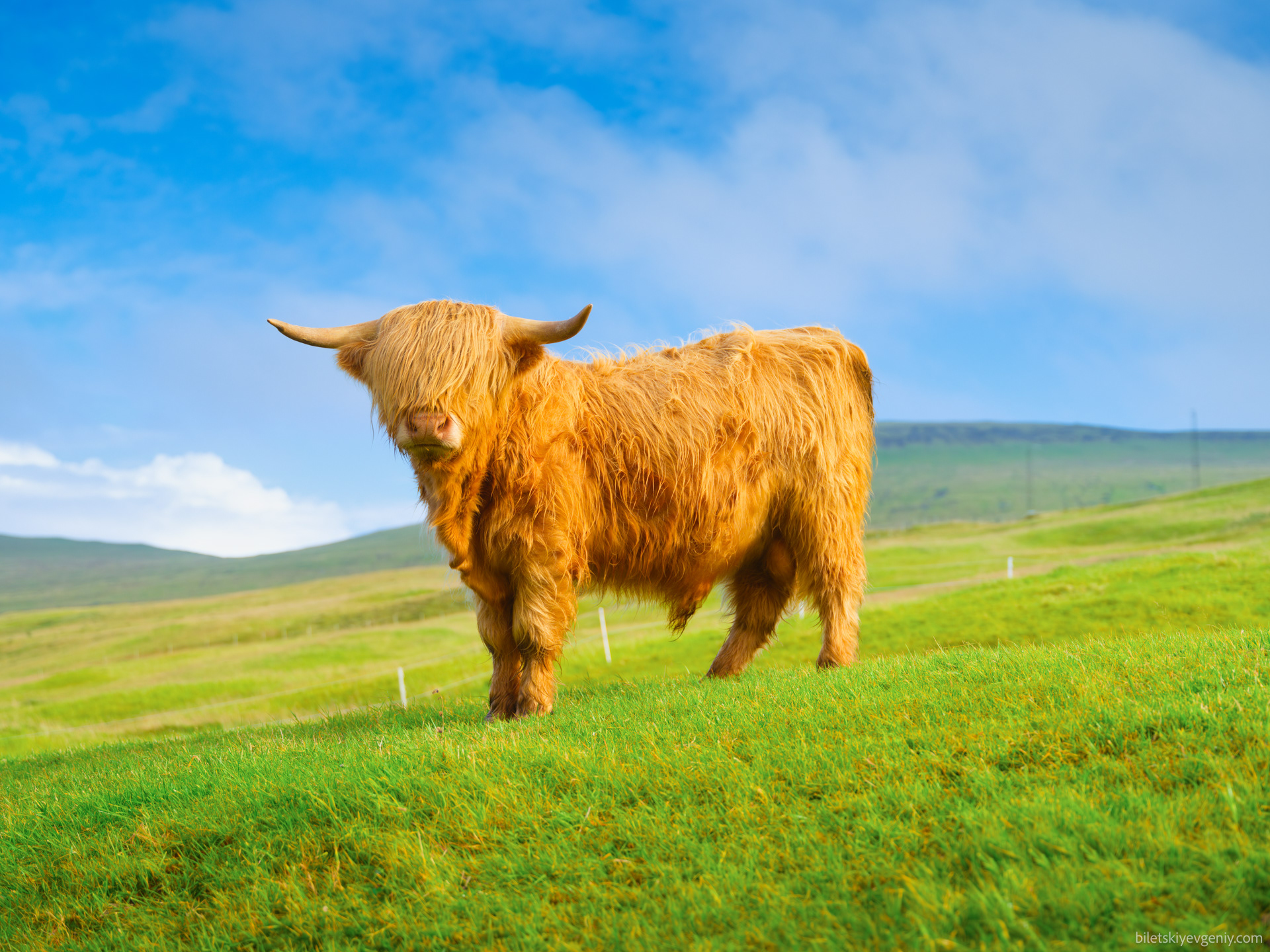 Faroe Islands, Denmark 